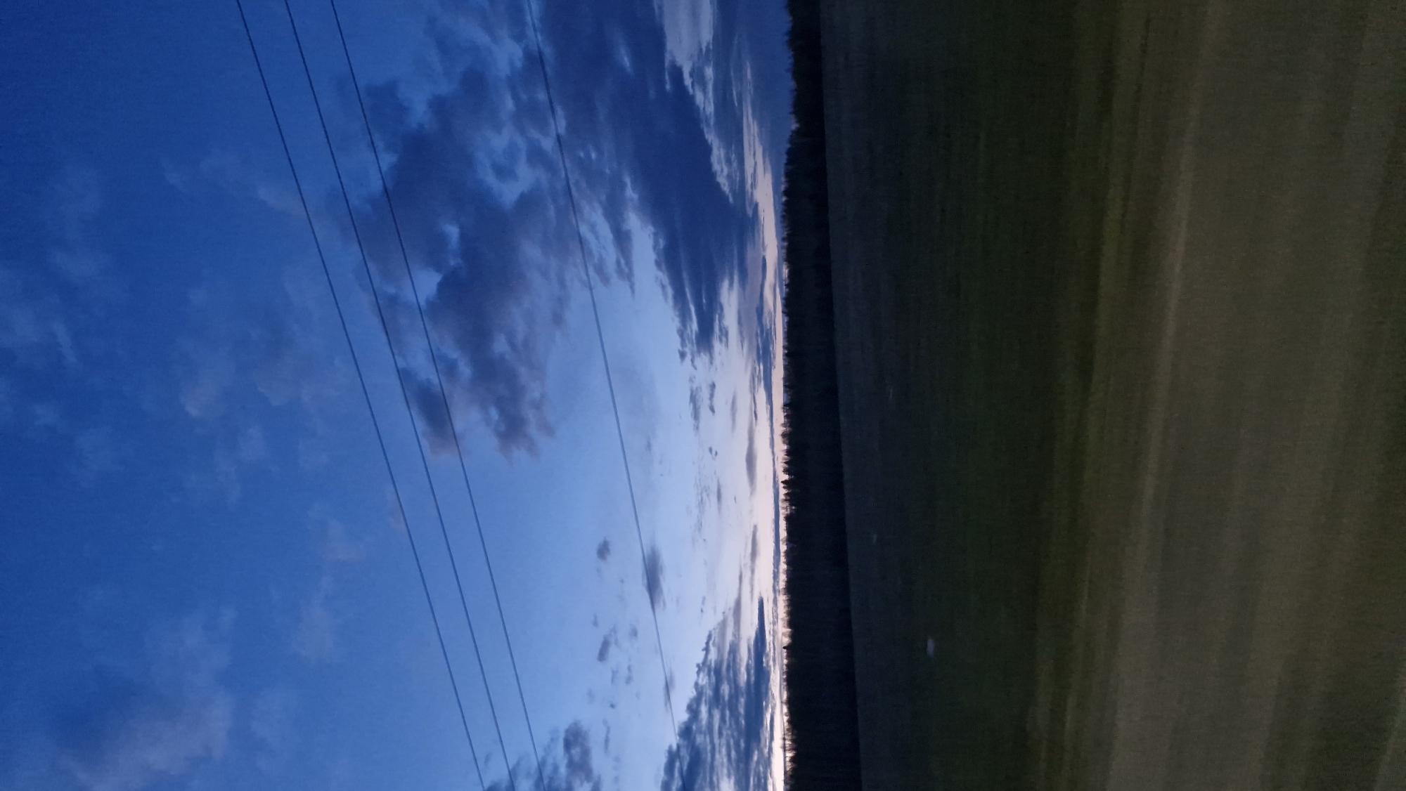 The image displays a tranquil twilight landscape, likely captured during dusk or dawn in Shumikha, Russia. The sky dominates the upper half of the scene, painted in deep blues with lighter, warmer hues near the horizon, suggesting the presence of the setting or rising sun just beyond view. Scattered clouds, varying from dark, dense formations to lighter, wispy streaks, are visible against the blue backdrop.
Four dark, parallel power lines stretch across the upper portion of the sky, creating a stark contrast against the atmospheric colors. Below the sky, a distinct, straight horizon line is marked by a long, dark silhouette of what appears to be a dense line of trees or a forest. This dark band separates the expansive sky from the foreground. The lower half of the image is occupied by a broad, open field, rendered in muted shades of dark green and brown, reflecting the low light conditions. No people, discernible objects, or visible text are present. The scene conveys a sense of peaceful solitude and the vastness of the natural environment at the transition between day and night.