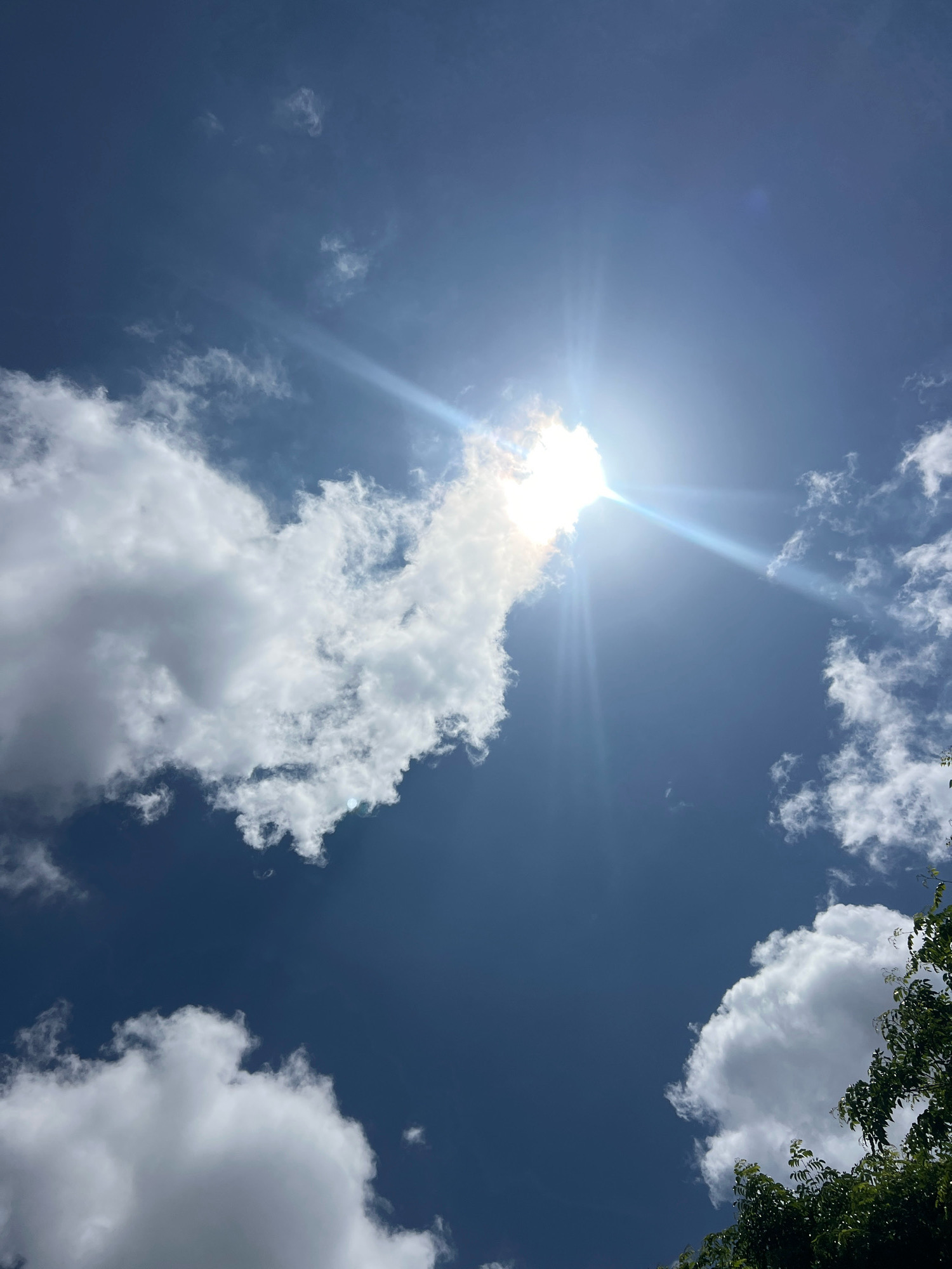 The image shows a bright sun shining through a deep blue sky, casting rays of light. There are fluffy white clouds scattered throughout the sky. In the lower right corner, the dark green leaves of a tree are visible, suggesting an outdoor setting, likely in Denpasar, Indonesia, given the context. The scene appears to be a clear day with sunshine. There are no people or specific objects clearly identifiable within the frame.