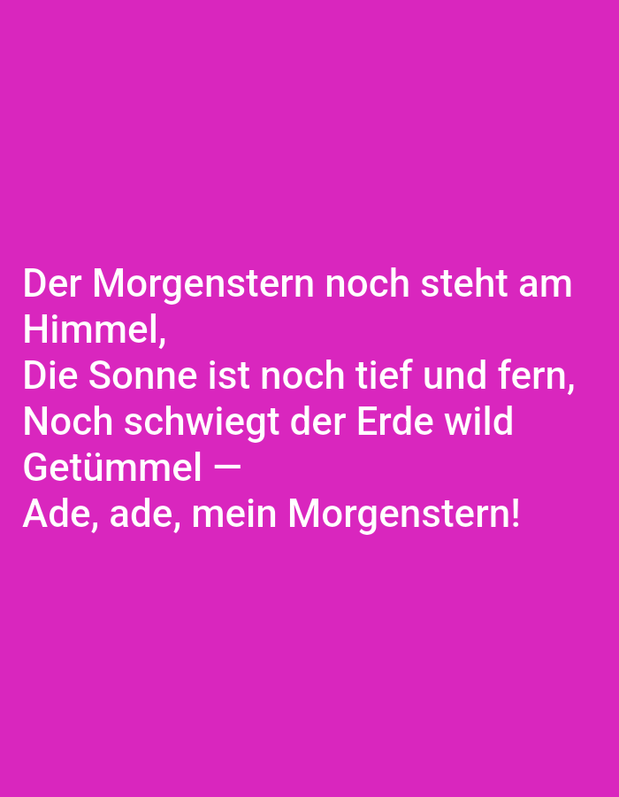 The image contains text on a solid pink background. The text, written in white, reads:
Der Morgenstern noch steht am
Himmel,
Die Sonne ist noch tief und fern,
Noch schweigt der Erde wild
Getümmel —
Ade, ade, mein Morgenstern!
There is no information about the city of Tallinn, Estonia, in the image.