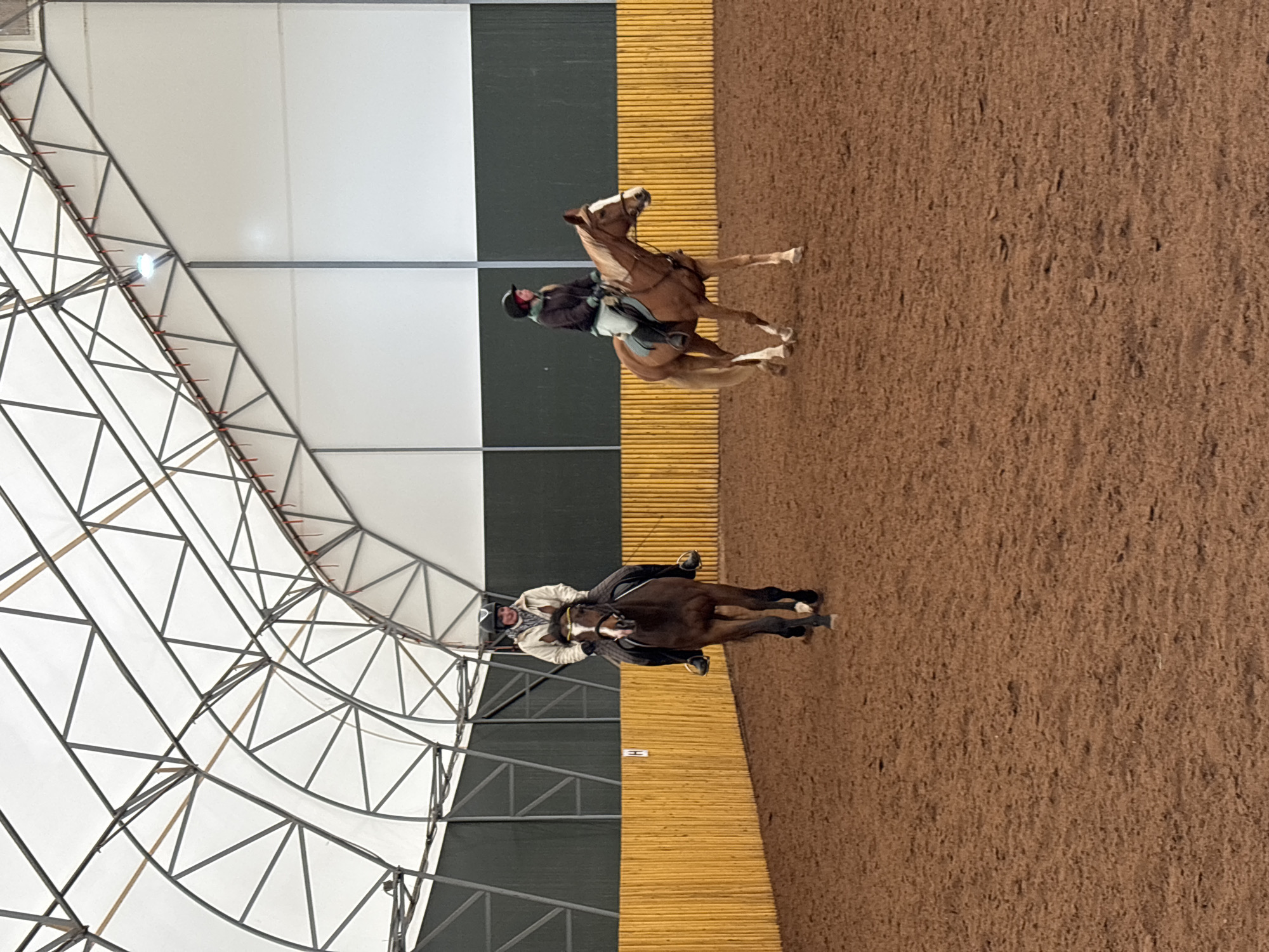 Two riders on horseback are captured mid-activity within a large indoor equestrian arena. The image, rotated 90 degrees clockwise, shows the riders moving from left to right across a reddish-brown dirt or sand floor.
The rider on the right is mounted on a light brown horse with a white blaze, dressed in dark attire and a helmet. The horse's legs are in motion, suggesting a canter or trot. The rider on the left is on a dark brown horse with white facial and leg markings, wearing a lighter-colored jacket and a dark helmet. This horse also appears to be actively moving.
The setting is a spacious indoor arena characterized by a high, arching white ceiling made of fabric stretched over an intricate structure of gray metal trusses and bars. Lights are visible integrated into the ceiling structure. The arena walls are composed of dark panels at the bottom, transitioning to lighter, possibly wooden, panels above. A white letter 'H' marker is visible on the wall in the background on the left, a common feature in dressage arenas.
The scene depicts an active training session or ride, likely benefiting from artificial lighting or diffused natural light filtering through the ceiling. The location context for this activity is Русский Вожой, Russia.