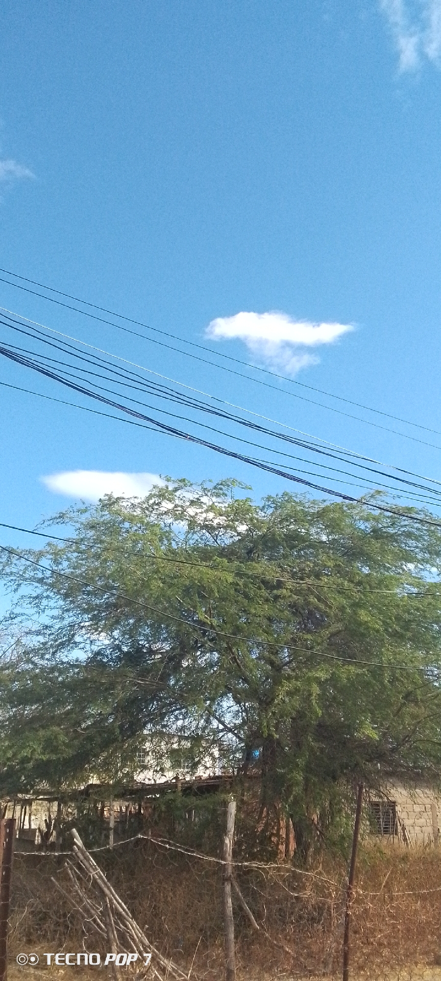 The image depicts a rural scene in Altagracia, Venezuela, under a clear blue sky with a few scattered clouds. A large, leafy tree dominates the center of the frame, partially obscuring a rundown structure constructed from weathered bricks and corrugated metal. Several power lines stretch across the sky above the tree. In the foreground, a dilapidated fence made of wooden posts and barbed wire encloses an area overgrown with dry vegetation. No people are visible. A "TECNO POP 7" watermark is present in the lower left corner.