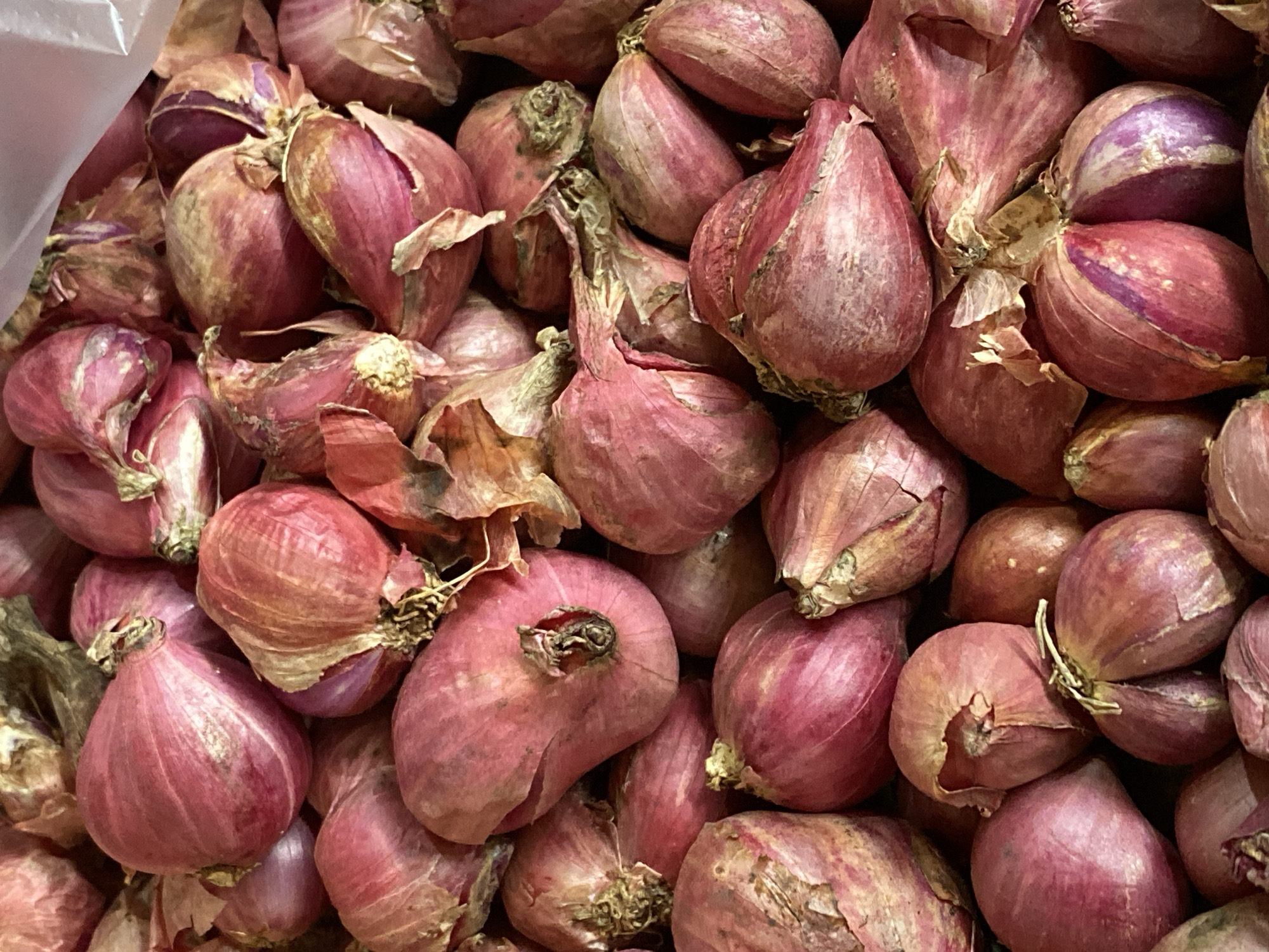 The image is a close-up, overhead shot of a pile of shallots. The shallots are small, elongated, and have a reddish-purple skin, with some showing papery dry outer layers. They are tightly packed together, filling the entire frame. The lighting is somewhat diffused, highlighting the texture and contours of the vegetables. There are no people or other objects visible in the image. The scene appears to be a food market or a kitchen pantry in Ambarketawang, Indonesia.