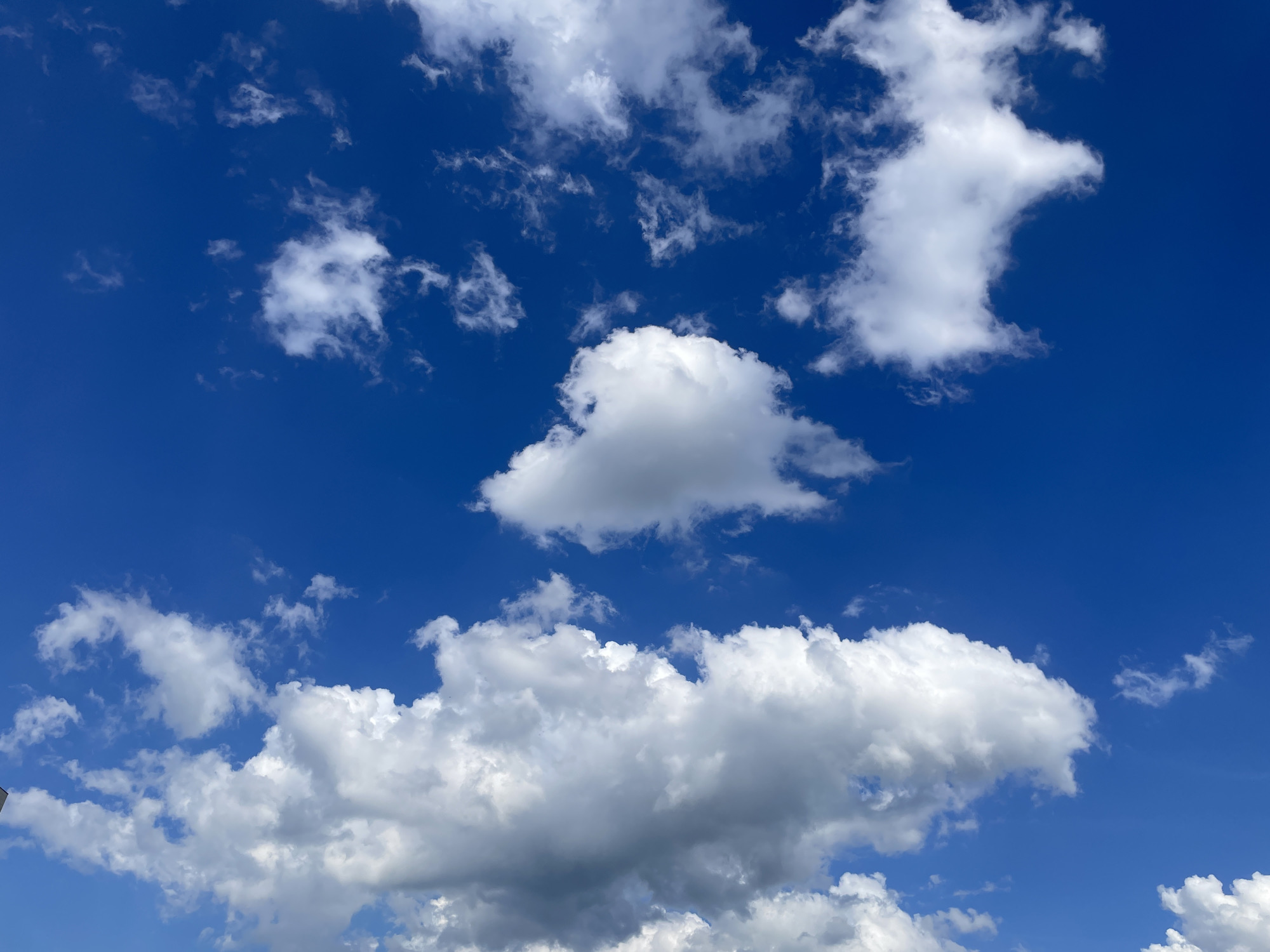 This is a photograph of a bright blue sky filled with white, puffy clouds. The clouds are varied in size and shape, with some appearing as large, billowy masses and others as wispy streaks. The image is a high-angle shot looking upwards at the sky. There are no people, subjects, or objects visible in the image. The environment depicted is an outdoor sky scene. No specific location in Stavropol, Russia can be identified from this image.