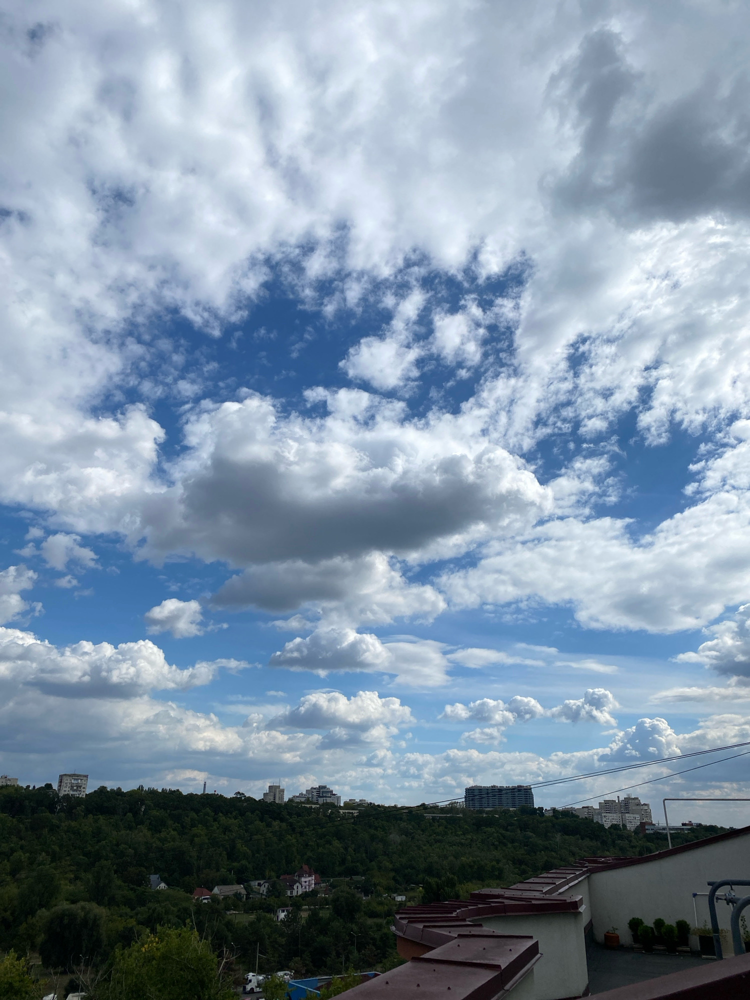 The image is a vertical, wide-angle shot looking up at a partly cloudy sky over a city landscape. The sky is a vibrant blue with scattered cumulus clouds, some appearing white and fluffy, while others are gray and more textured. Below the sky, a dense, green forest covers rolling hills. Several buildings of varying heights are visible peeking through the trees and along the crest of the hills, suggesting an urban fringe setting. In the foreground, the edge of a rooftop is visible, featuring a burgundy metal railing system and a white wall with potted plants. The scene appears to be a view from a building in Chișinău, Moldova, overlooking a natural area within or adjacent to the city. There are no people or active events depicted in the image.