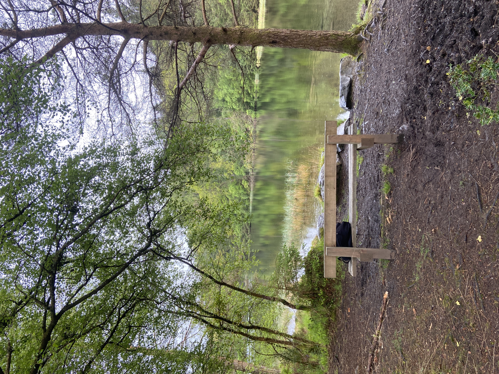 The image depicts a tranquil scene at a lake's edge, possibly located in the vicinity of Llanrwst, United Kingdom, based on the landscape. The primary focus is a wooden bench positioned near the water, with a black backpack resting on it. The lake reflects the surrounding greenery, with trees and vegetation forming a dense backdrop. The foreground features a muddy bank with some foliage. No people are visible. The overall impression is one of a quiet, natural setting.