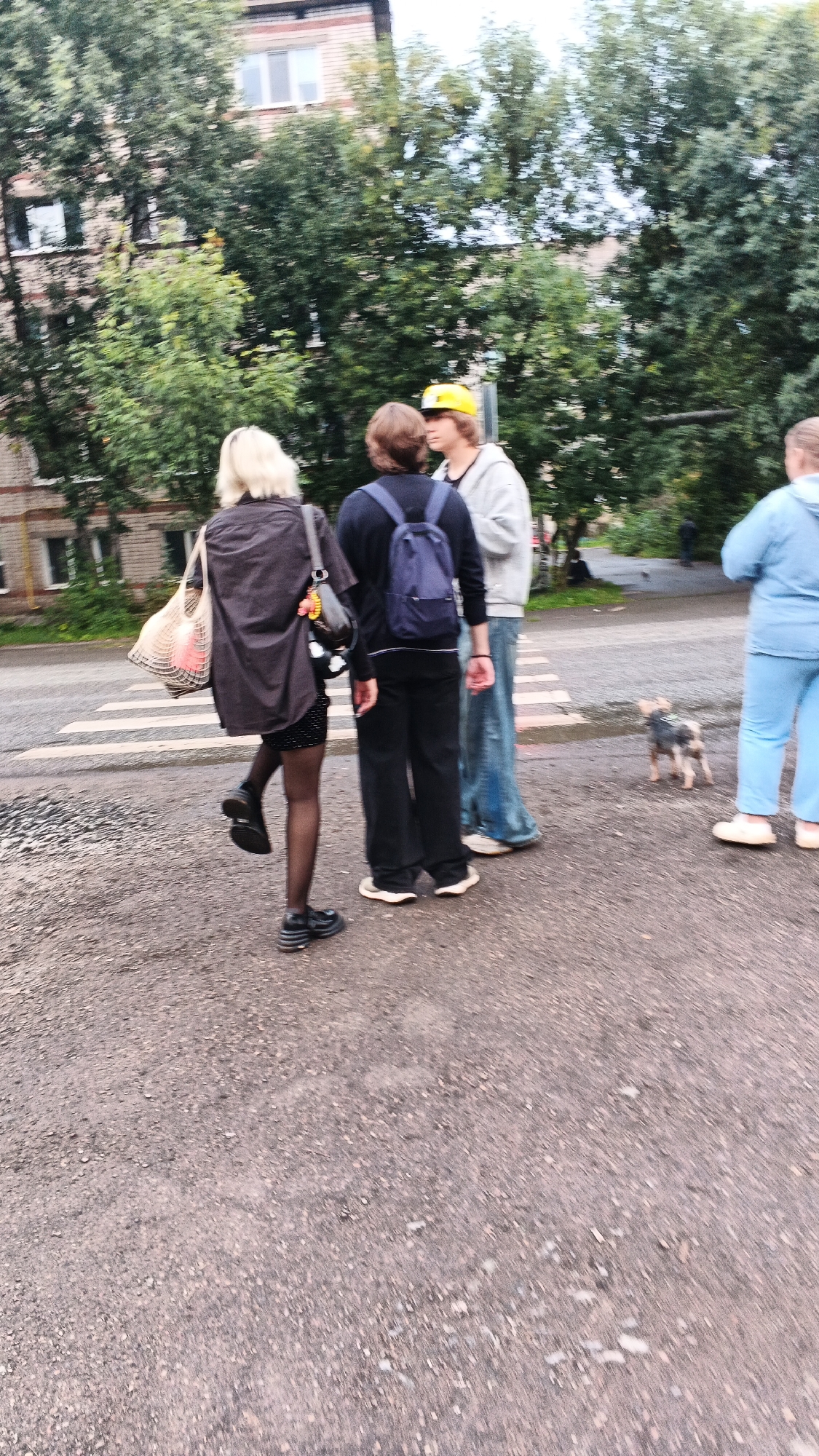 In Izhevsk, Russia, on a damp asphalt street with a pedestrian crossing, three young adults and a small dog are gathered. A young woman with blonde hair, wearing a dark shirt, patterned skirt, black tights, and black platform shoes, stands facing away from the camera, holding a mesh bag. Beside her, a young person with brown hair, dressed in dark clothing and carrying a blue backpack, stands with their back to the camera. To their right, a young person wearing a yellow baseball cap, a light-colored hooded sweatshirt, and blue jeans is also facing away. A small, terrier-like dog with light and dark fur stands on the street near the pedestrian crossing, looking towards the right of the frame. In the background, a brick apartment building with visible windows and lush green trees are visible. The sky appears overcast.
