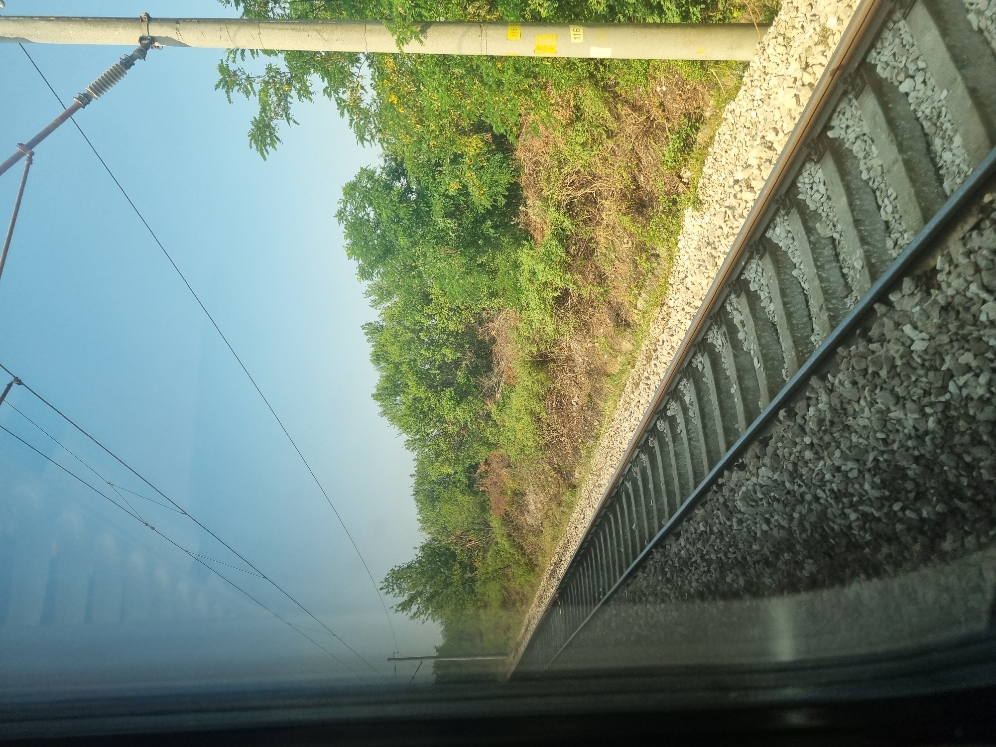 The image is a view from a train window, looking out at a railway track stretching into the distance. The track is made of concrete sleepers and ballast, and is flanked by lush green vegetation and trees. Overhead, electrical wires for the train's power supply are visible, supported by a concrete pole on the right side of the frame. The sky is clear and blue. The train appears to be moving, as indicated by the blurred reflection in the window on the left. There are no people visible in the image. The scene suggests a journey through a rural or suburban area.