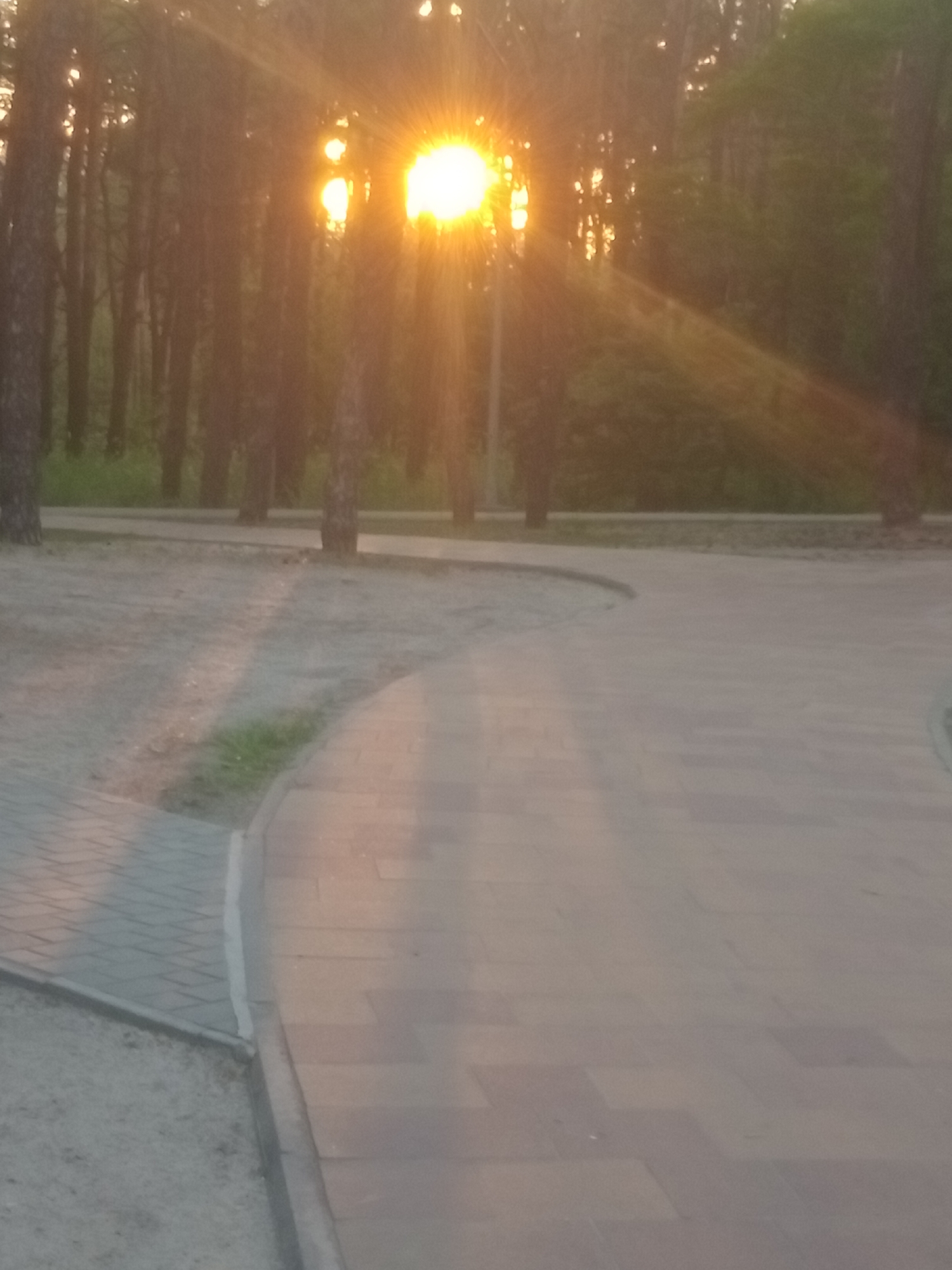 The image depicts a sunlit park scene in Horishni Plavni, Ukraine. The sun, a bright, intense orb radiating light beams, is positioned high in the background, partially obscured by trees. Sunlight filters through the trees, casting long shadows on a paved walkway. The walkway, constructed of light-colored rectangular pavers, curves through the scene. To the left of the walkway, a sandy area is visible, bordered by grass and a low concrete edge. Trees with dark bark are scattered throughout the background, some appearing slender and others more mature. The overall atmosphere suggests a late afternoon or early evening setting, with the warm glow of the sun dominating the visual. There are no people or animals visible in the frame.