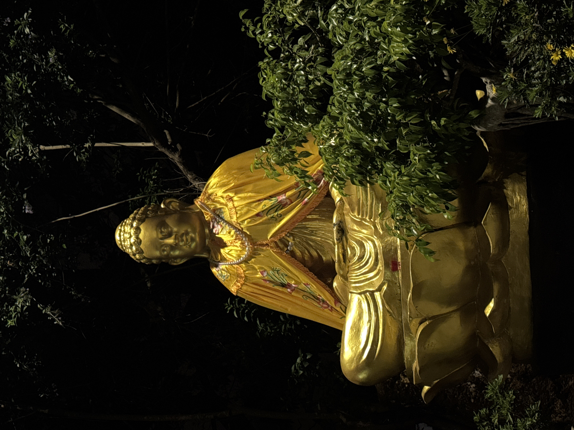 At night in Lâm Viên - Đà Lạt, Vietnam, a golden statue of a Buddha is situated amidst greenery. The statue, illuminated by a light source, features a robe draped over its shoulder and a necklace. It is surrounded by dark foliage, and a tree branch is visible in the background.