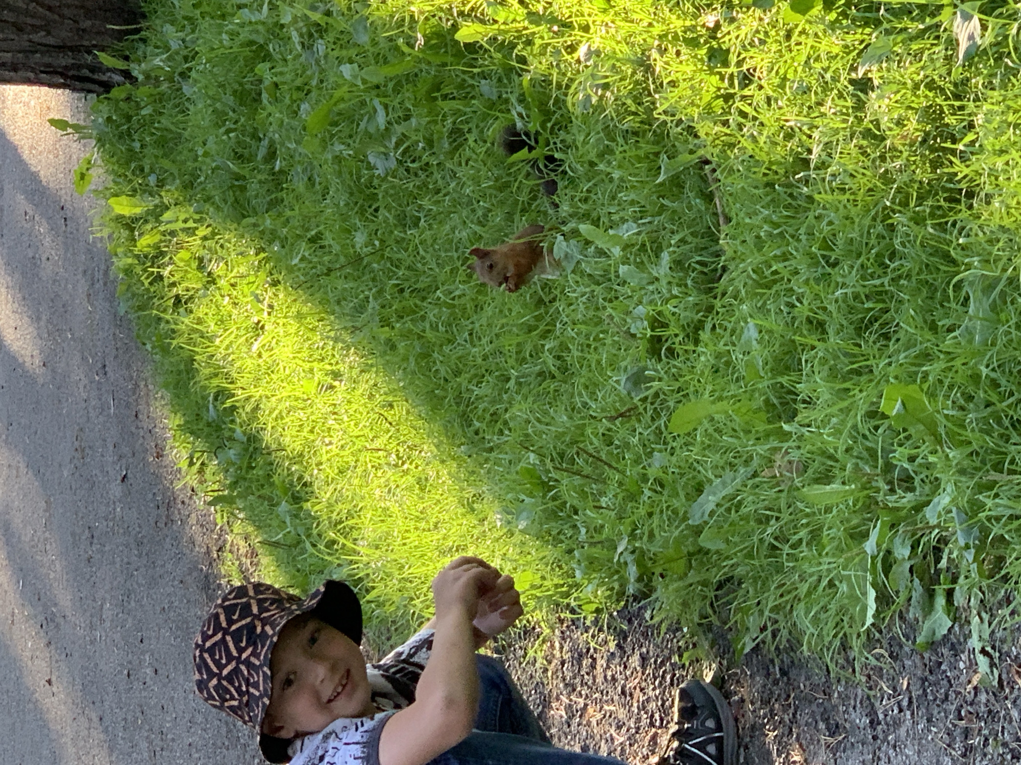 A young boy wearing a patterned bucket hat and jeans is crouched on a gravel path next to a patch of bright green grass. He is smiling and looking towards the right side of the frame, where a squirrel is perched on its hind legs in the grass, holding something in its paws. The squirrel is brown and appears to be eating. Another dark object, possibly a second squirrel or a nut, is visible behind it. Sunlight casts strong shadows across the grass and path, suggesting it is a sunny day. The environment appears to be a park or natural area within the city of Prokopyevsk, Russia.
