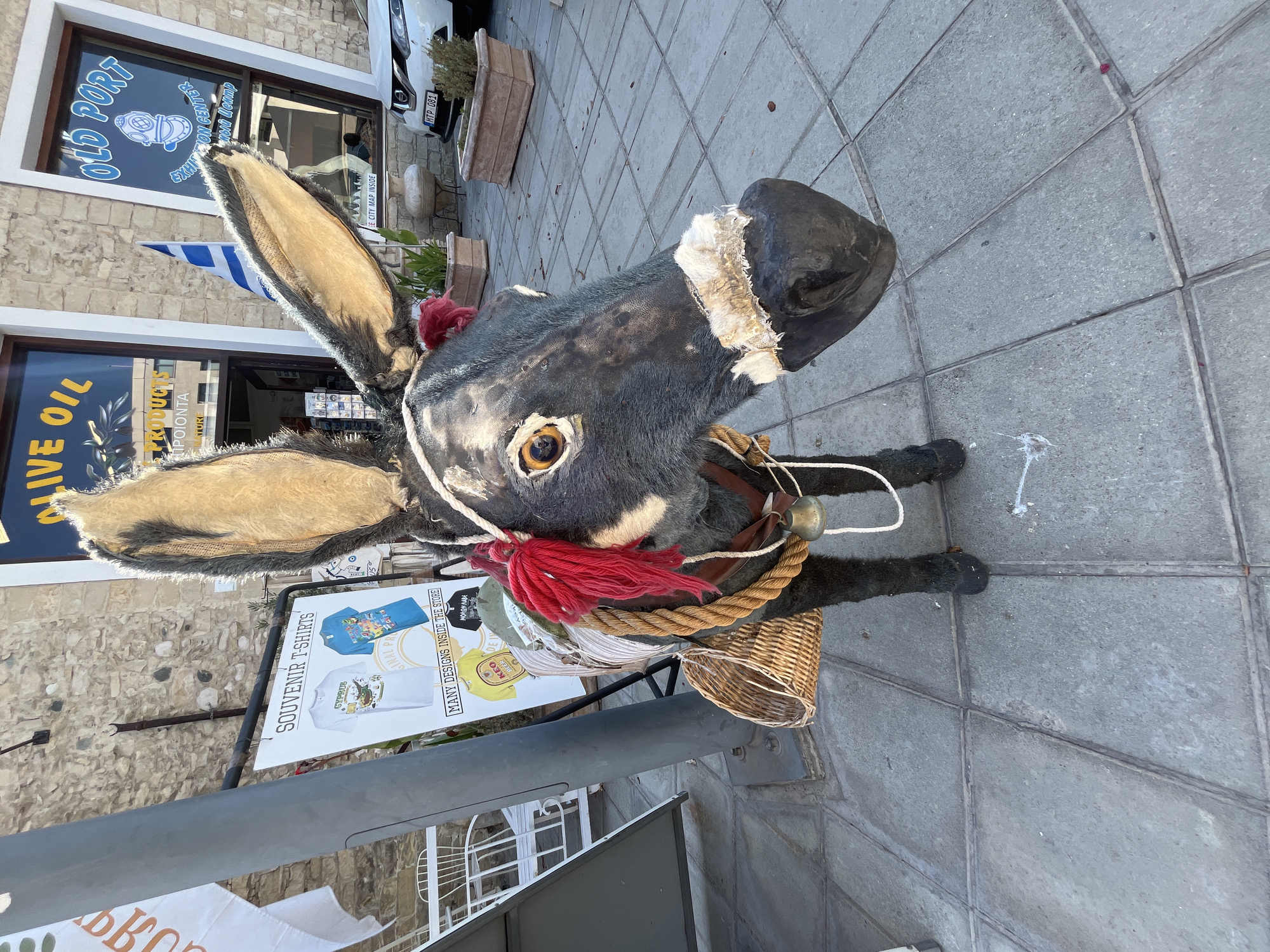 This is a full-shot, eye-level, outdoor photograph taken on a sunny day in Limassol, Cyprus, likely in the Old Port area, given the signage. The central subject is a life-sized, dark gray stuffed donkey with large, tan-lined ears, a straw basket on its back, and a bell around its neck. The donkey is adorned with red yarn tassels and a rope halter. To the left of the donkey, a gray metal pole supports a sign displaying "SOUVENIR T-SHIRTS" and images of t-shirts. Behind the donkey, the facade of a building features large windows with signage. The left window reads "LIVE OIL PRODUCTS" in yellow lettering, and the right window displays "OLD PORT EXHIBITION CENTER" in blue lettering, featuring a graphic of a diver's helmet. A Greek flag is visible behind the donkey, partially obscuring the building. The ground is paved with large, square gray tiles. A white car with a license plate is parked in the background. The environment suggests a tourist-oriented location with shops and stalls. There are no people actively engaged in the scene, but a person is visible through the window of the "OLD PORT" shop.