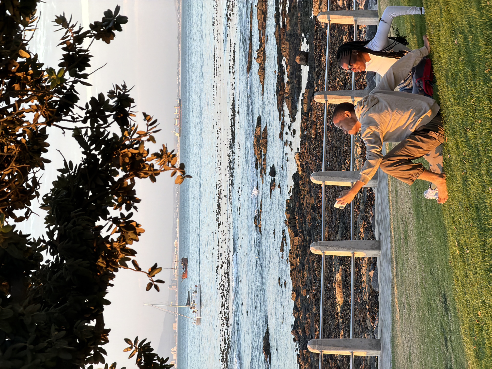 Two people sit on the grass near a metal rail, a rock and a calm ocean. A tree is visible on the left. One person appears to be taking a photo with a mobile phone. In the distance is a cityscape near a mountain. Boats dot the ocean. The location is Cape Town, South Africa.