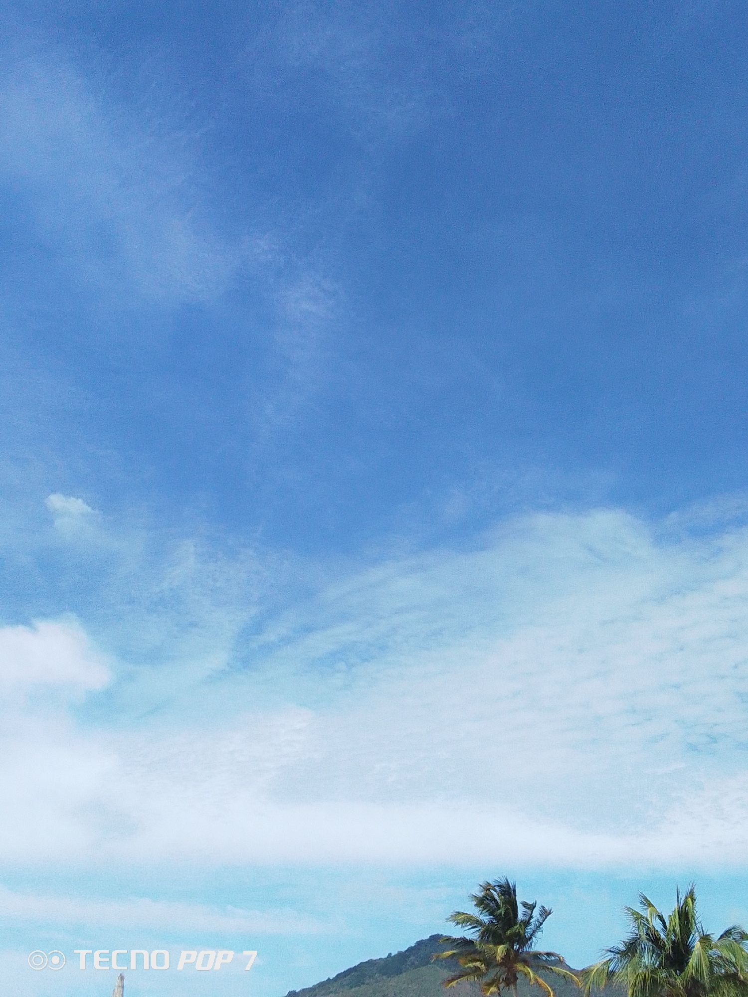 The image presents a scene in Pedro González, Venezuela. The composition is dominated by a blue sky with varying cloud formations, transitioning from a deeper blue at the top to a lighter, cloudier area lower in the frame. In the bottom portion of the image, there are glimpses of lush greenery. Palm trees are visible, their fronds swaying gently. Behind the trees is a hill or mountain. The overall scene is typical of a tropical or coastal environment, with the sky being the most prominent feature. The lower-left corner includes the text "TECNO POP 7" likely indicating the device used to capture the image.