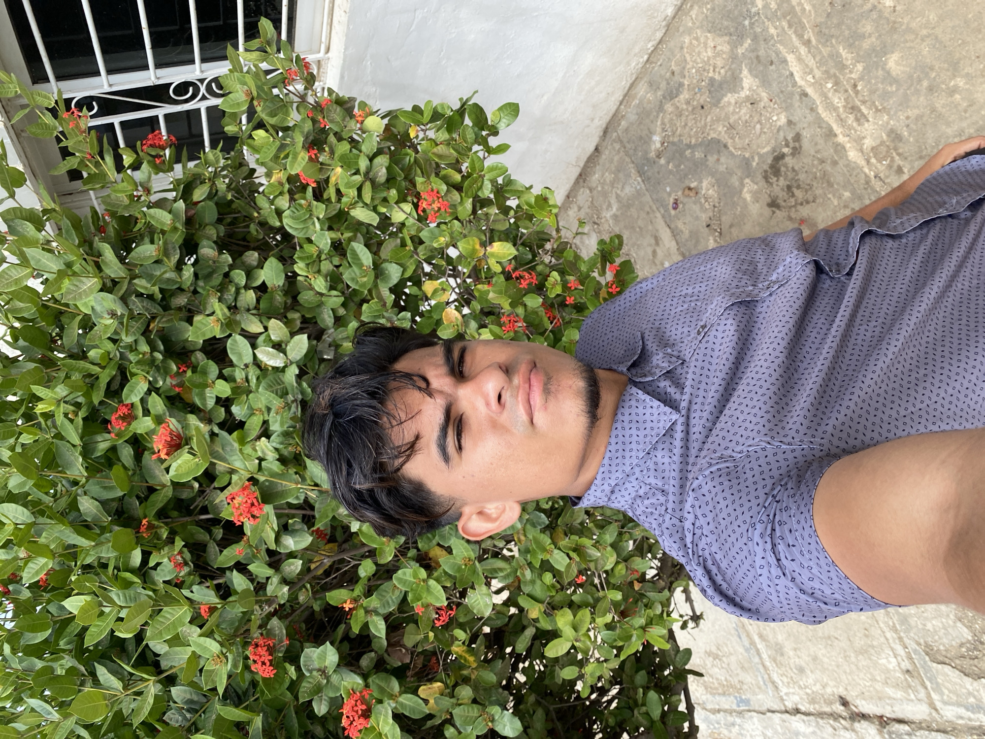 A young adult male, of dark complexion and dark hair, is depicted in a close-up, outdoors in Juan Griego, Venezuela. He wears a short-sleeved, collared button-up shirt with a light blue background and a repeating pattern of small dark squares. His right arm is extended, indicating he is holding the camera for a selfie. He has a short, dark goatee and dark eyebrows, with a neutral facial expression. Behind him is a dense green bush covered in numerous clusters of small, bright red flowers. To the right of the bush, a section of a white building wall is visible, featuring a window secured with white decorative metal bars. The ground in the lower foreground is a light-colored concrete or paved surface, exhibiting minor cracks and discoloration.