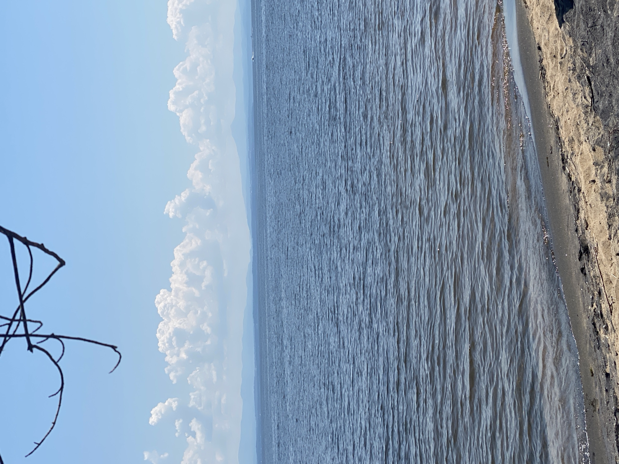 This is a landscape photograph of a calm body of water meeting a sandy shore. The image is oriented vertically. On the left side of the frame, a dark, leafless tree branch extends into the sky. The sky is a clear, pale blue, with several large, fluffy white clouds drifting by. The main subject of the image is the expansive, rippling surface of the water, which occupies the majority of the frame. The water is a deep blue-gray, with numerous small waves creating a textured, almost striped effect. The sunlight glints off the water's surface in places, creating small sparkles.
The shoreline is visible on the right side of the image, composed of sand and some darker, rougher terrain. The transition from water to land is sharp. In the distance, a faint, hazy outline of land or mountains can be seen, suggesting a vast open space. There is a very small white speck in the water, which might be a distant boat or buoy, but it is too indistinct to be certain.
The lighting suggests it is daytime, likely late morning or early afternoon, with the sun positioned such that it casts highlights on the water. The weather appears clear and fair, with the presence of the fluffy clouds indicating a pleasant day. The overall mood of the image is peaceful and serene, evoking a sense of nature's tranquility. There is no visible text in the image. The location context provided is the Town of Peru, United States of America, which is consistent with a broad, open landscape with water.