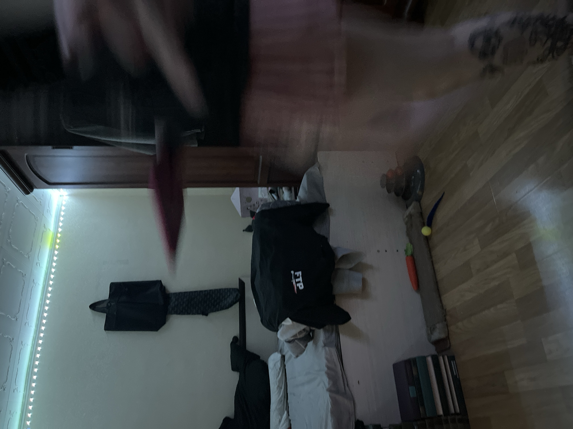 The image shows an indoor scene, likely a bedroom, with a bed in the foreground and a large wooden wardrobe to the right. A person, mostly blurred due to motion, is visible in the right half of the frame, wearing a pink skirt and a dark top. The bed has grey sheets and a black hoodie with "FTP" written on it is draped over it. To the left of the bed, a stack of books is visible, and a long, textured object resembling a cat scratcher with an orange toy carrot and a yellow ball lies on the floor. Above the bed, a black bag is hanging on the wall, and LED strip lights illuminate the ceiling. The floor is made of light-colored wooden planks.