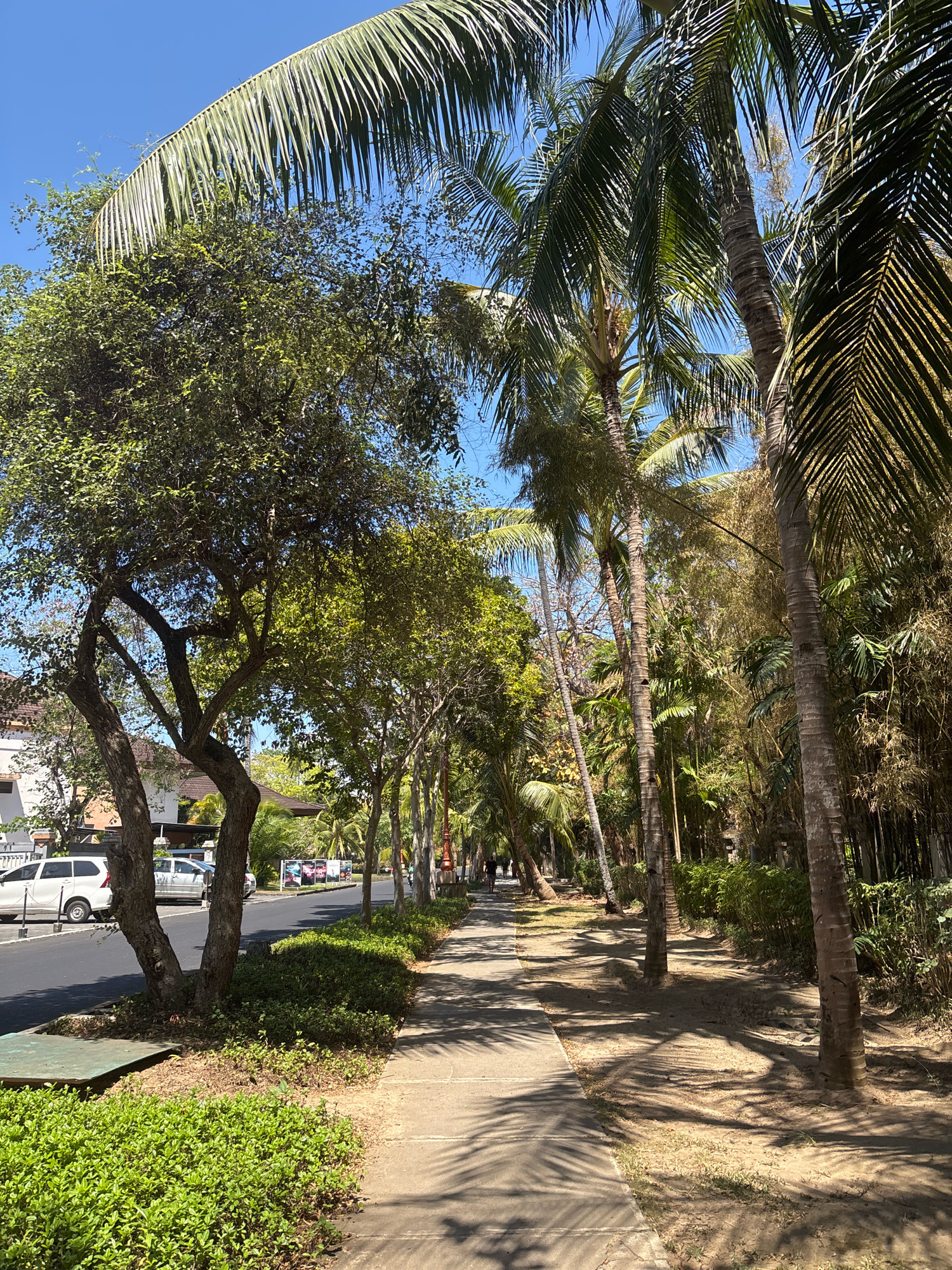 A sun-dappled sidewalk lined with lush green bushes and palm trees stretches into the distance in Kuta Selatan, Indonesia. The path is partially covered by the shadows of palm fronds, creating a natural pattern on the concrete. To the left, a paved road runs parallel to the sidewalk, with parked cars and buildings visible in the background. The overall scene conveys a tropical, outdoor atmosphere.
