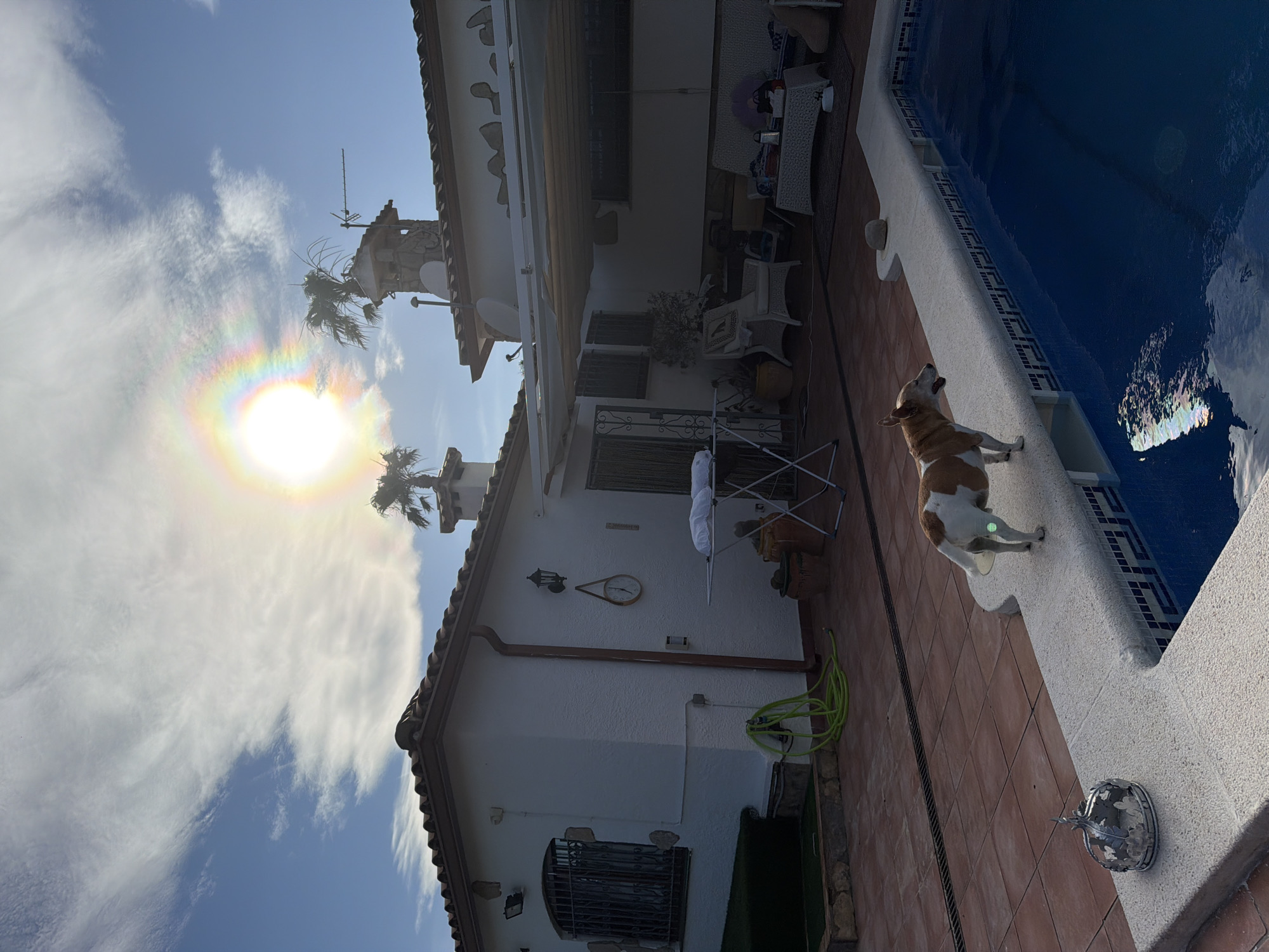 This image captures a bright, sunny outdoor scene at a house, likely in Mont-roig del Camp, Spain. The view is angled upwards, showcasing part of a house, a swimming pool, and the sky.
In the foreground, a medium-sized dog with a white and brown coat stands on a terracotta-tiled patio next to a swimming pool. The dog is looking upwards with an alert posture, possibly barking or observing something. The pool features clear blue water with reflections, and its edge is made of white, textured coping stones adorned with a band of blue and white mosaic tiles. A decorative silver-colored outdoor light fixture is mounted on the pool wall near the patio.
The patio extends towards a white stucco house with a tiled, reddish-brown roof. The house has several windows, some secured with black wrought iron grilles. An outdoor wall clock and a simple wall lamp are visible on one exterior wall. A green garden hose is coiled on the ground near the house, and an outdoor clothes drying rack with white laundry is also present. Several white outdoor furniture pieces and potted plants are arranged on a shaded patio area closer to the house. Palm trees are visible near the structure, indicative of a warm climate. An antenna is mounted on the roofline.
The sky is a clear blue, partially covered with white, wispy clouds. The sun is high in the sky and prominently features a vibrant, rainbow-colored halo or solar iridescence around it, a notable atmospheric phenomenon. The overall impression is one of a peaceful, well-maintained outdoor living space under clear, sunny weather, likely around midday. No people or discernible text are visible.