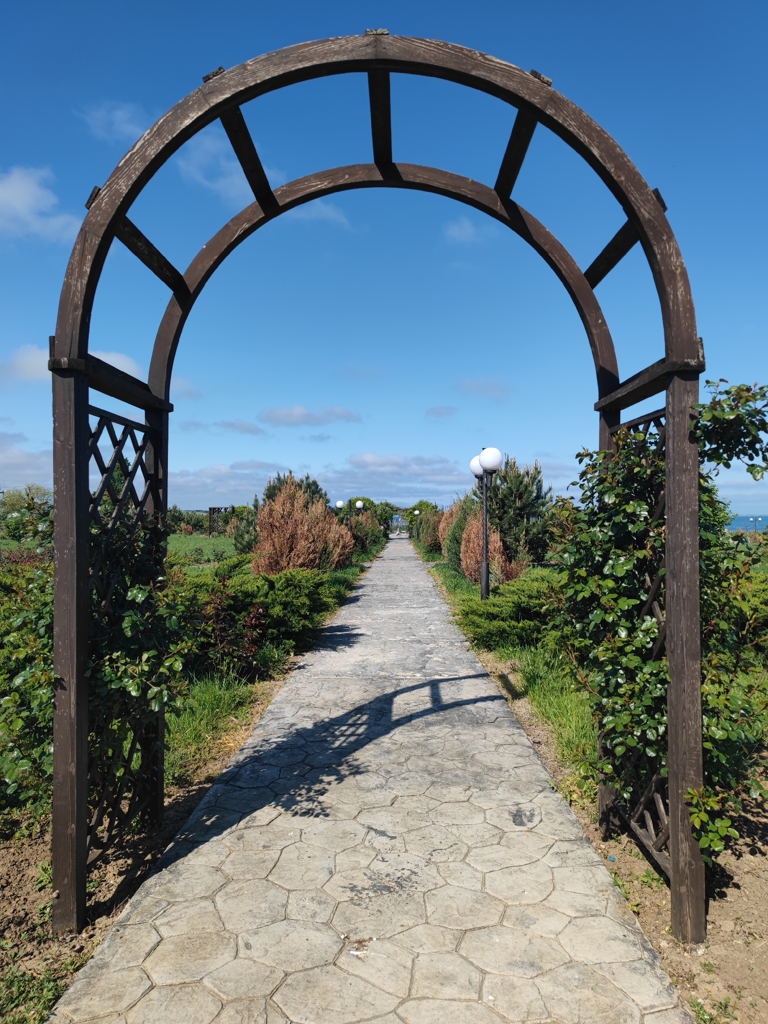 Here's a detailed description of the image:
**Location:** Sennoy, Russia (based on metadata)
**Scene:** A long, straight pathway is framed by a dark brown wooden arbor in the foreground. The pathway is constructed of interlocking stone pieces with an irregular, hexagonal pattern. The path stretches into the distance, lined on both sides by manicured hedges and bushes, some of which are green and some displaying brown/dead foliage. White globe streetlights are positioned along the path.
**Environment:** The sky is a bright, clear blue with scattered white clouds. The day appears sunny. The foliage suggests a garden or park setting.
**Objects:**
* Wooden arbor
* Stone pathway
* Hedges/Bushes
* Streetlights