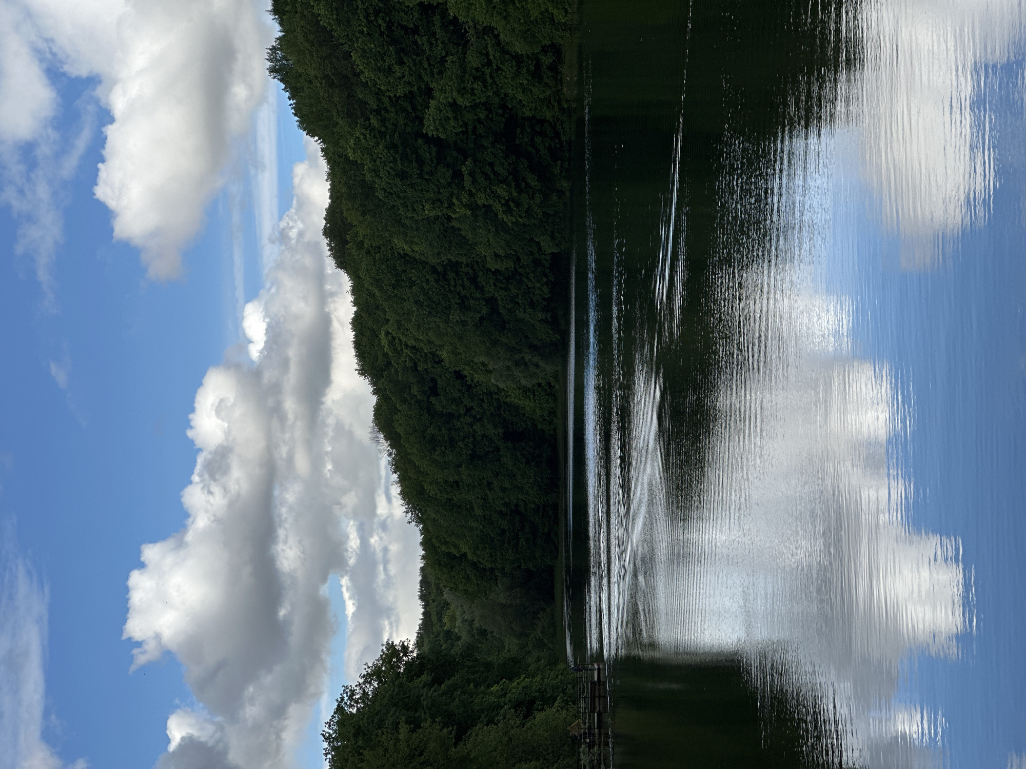 The image depicts a body of water, possibly a lake or river, with a dense green forest lining one side. The sky above is blue with scattered cumulus clouds, which are reflected in the water's surface, creating a rippled, distorted mirror image. The vertical orientation of the image obscures the horizon line. There is a hint of a structure along the edge of the water, potentially a dock or pier. The location is unknown, and it is not possible to determine if it is in Nizhny Novgorod based on this image alone. There are no people visible in the image.