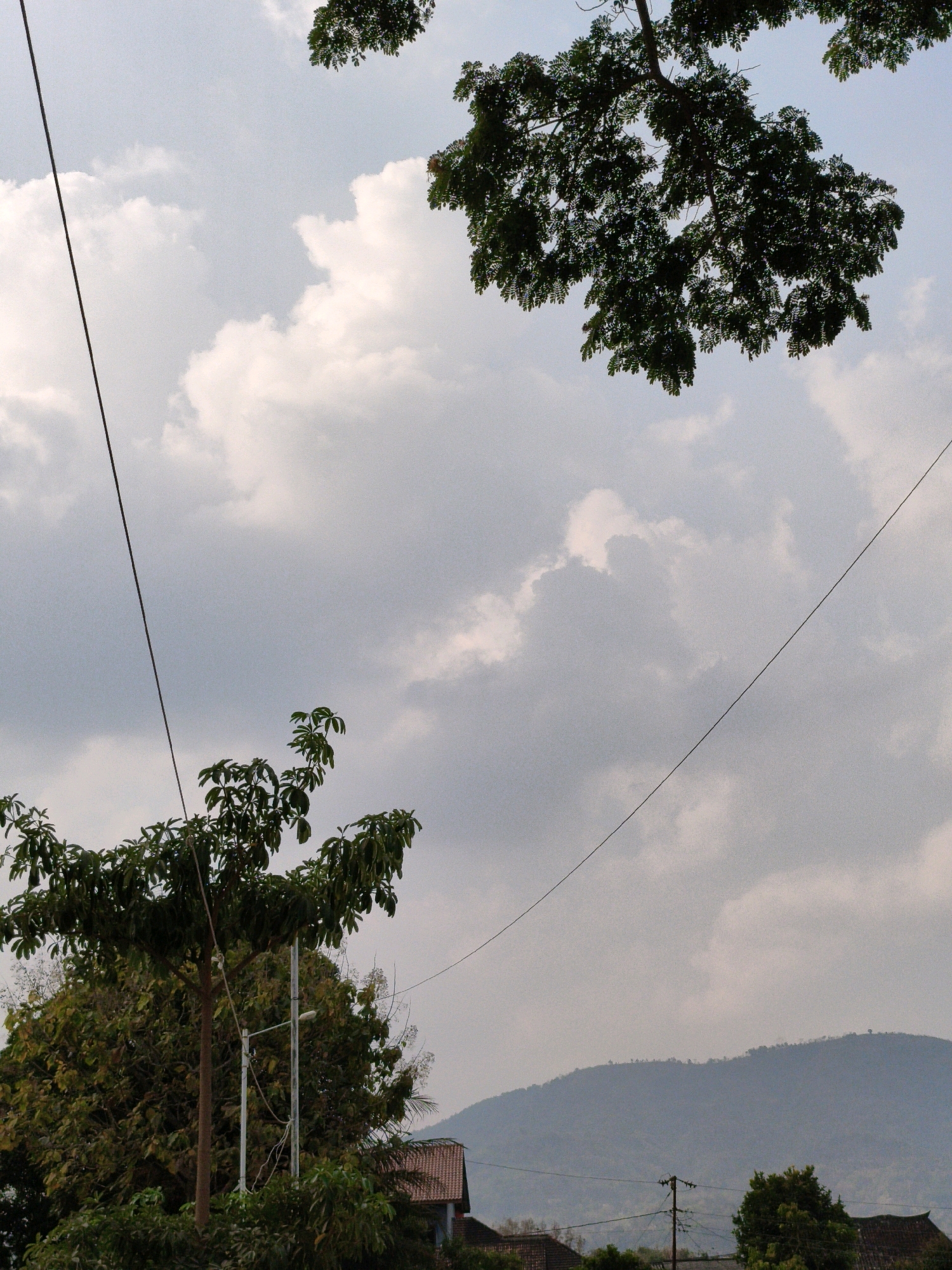 The image depicts a view of the sky and surrounding landscape in Puhpelem, Indonesia. Two power lines cut across the frame, one extending from the upper left to the lower right, and another from the left edge towards the center. Overhead, a large tree with dark green foliage dominates the top right portion of the image, its branches extending into the cloudy sky. In the lower left, another tree with lighter green leaves is visible, with a brown trunk and a white pole with a light attached behind it. In the background, a range of mountains is silhouetted against the sky, partially obscured by clouds. Several rooftops of houses are visible in the lower part of the image, peeking through the trees. The overall atmosphere is somewhat overcast, with diffused sunlight filtering through the clouds.