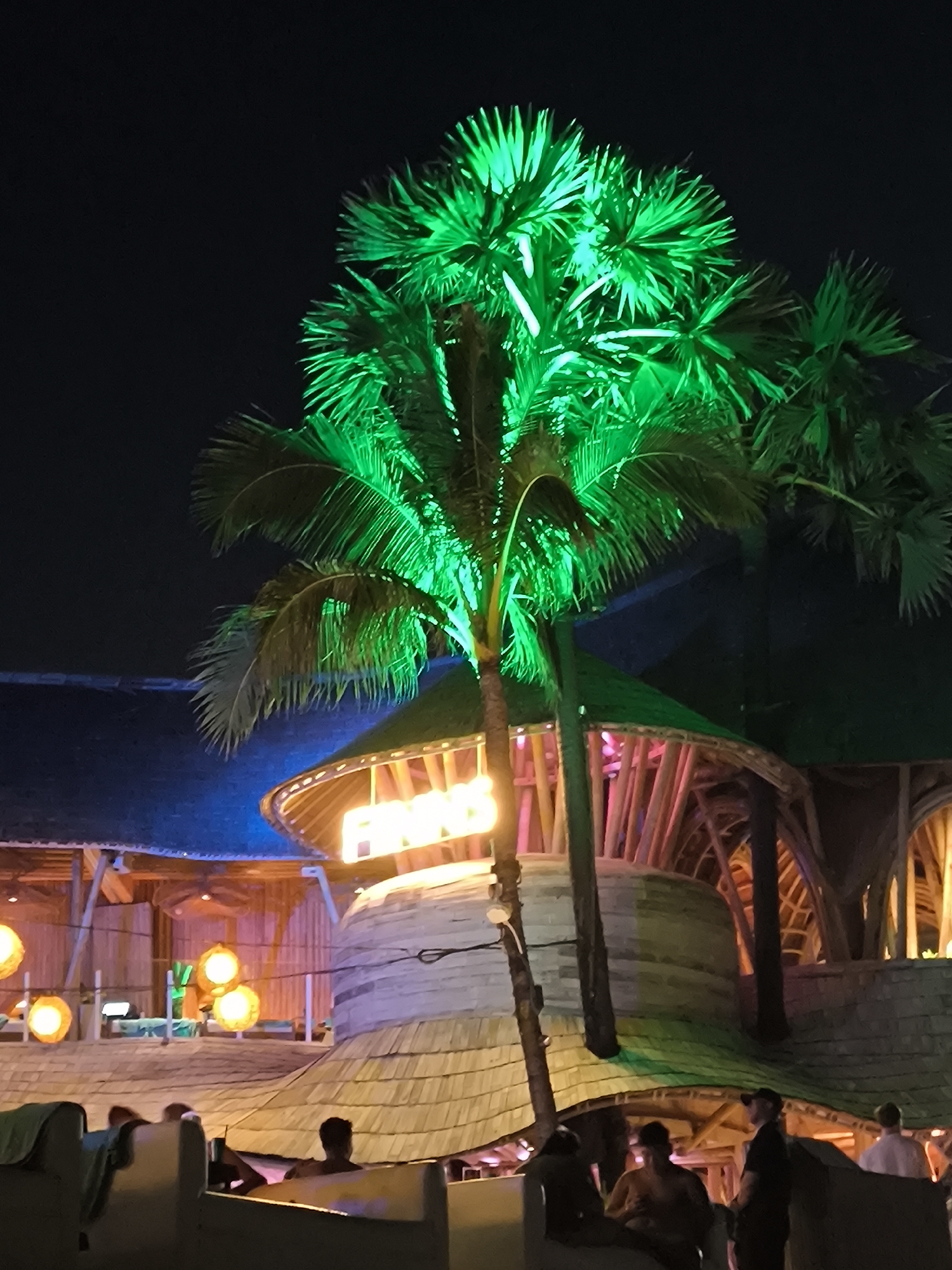 The image depicts a nighttime scene in North Kuta, Indonesia, showing an outdoor area with people relaxing. A large palm tree, illuminated with green lights, dominates the upper portion of the frame. Below the tree, a multi-level structure with thatched roofing is visible. The structure appears to be a resort or entertainment venue, with open-air architecture and bamboo-like supports. A brightly lit sign that seems to spell "FINNS" adorns the front of the structure. In the foreground, several people are seated or lounging in what appears to be a pool or seating area. Some people are talking to each other. The overall ambiance suggests a vibrant nightlife or leisure environment in a tropical setting.