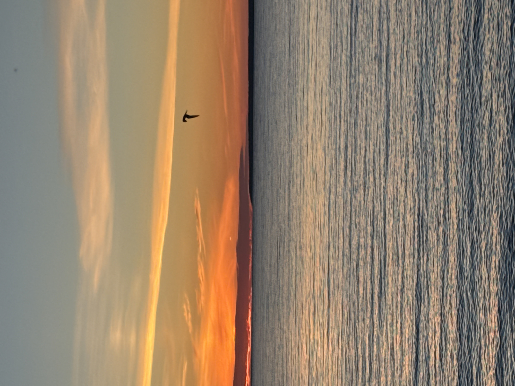This is a vertical, eye-level, full-shot photograph of a sunset over the sea. The sky is a gradient of colors, starting with a pale blue at the top and transitioning to bright orange and yellow hues near the horizon. wispy clouds are scattered across the sky, catching the warm light of the setting sun. A single bird is silhouetted against the sky, in flight. The sea is calm, with gentle ripples reflecting the colors of the sky. In the distance, a thin, dark line of land is visible along the horizon. The scene suggests a tranquil evening by the coast. The location is unknown.
