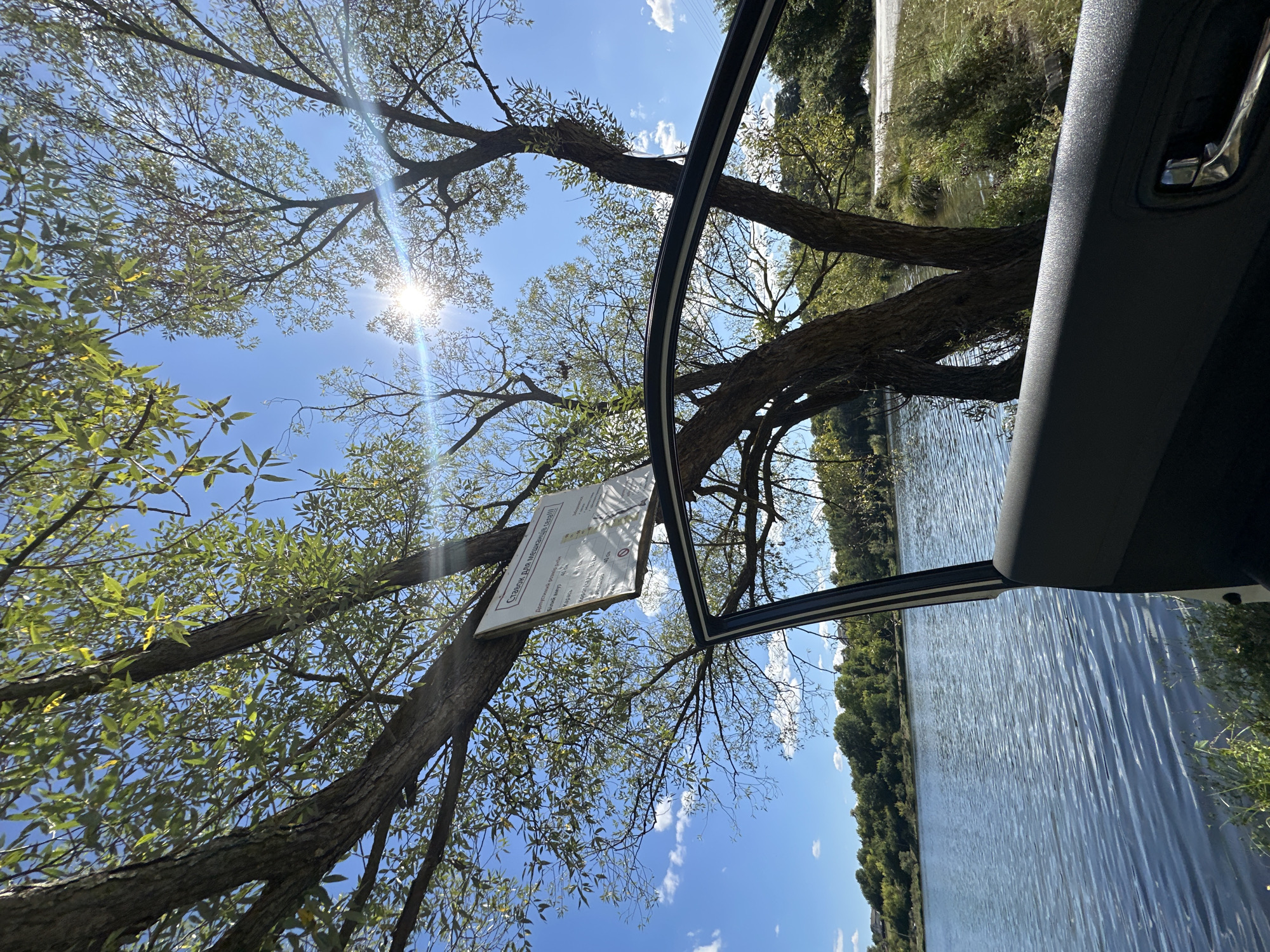 A white sign is attached to a tree branch overlooking a body of water. The sign is oriented landscape and appears to list fishing regulations. The text on the sign is in Cyrillic script and states "Ставок для мешканців села!!!" which translates to "Pond for village residents!!!". Below this, there is a table with species of fish and their minimum catchable sizes, such as " Білий амур (White Amur) 40 CM", "Карась (Crucian Carp) 18 CM", "Короп (Carp) 35 CM", and "Товстолоб (Silver Carp) 40 CM".
The scene is outdoors, likely in the village of Makiv, Ukraine, given the text on the sign. The weather is sunny with blue skies and some clouds. Sunlight is filtering through the leaves of the trees, creating lens flares in the image. A car door is open in the foreground, and the interior of the car is visible. The body of water appears to be a pond or lake, with ripples on its surface. The background consists of trees and greenery along the opposite bank of the water, and a road or path is visible beyond the vegetation on the right side of the frame. There are no people visible in the image.