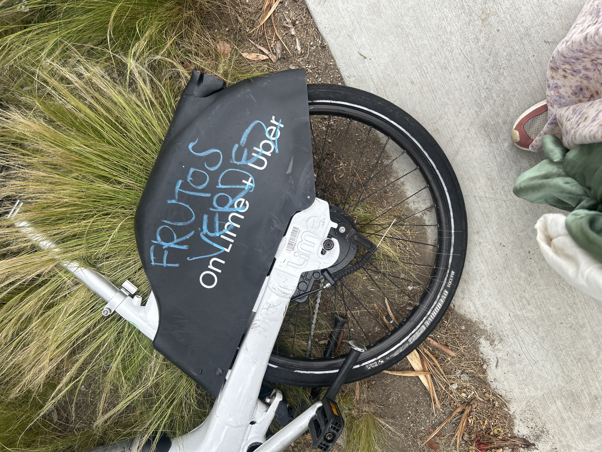 A vandalized, disabled Lime/Uber shared bicycle lies on the ground, partially on grass and partially on concrete. The bicycle's front tire is visible, and graffiti, "FRUTAS VERDES On Lime + Uber" is scrawled on the black fender in light blue spray paint. A person's lower legs, covered in clothing and including a single shoe, are visible in the upper-right corner of the image. The environment suggests an urban area; Los Angeles, United States of America.