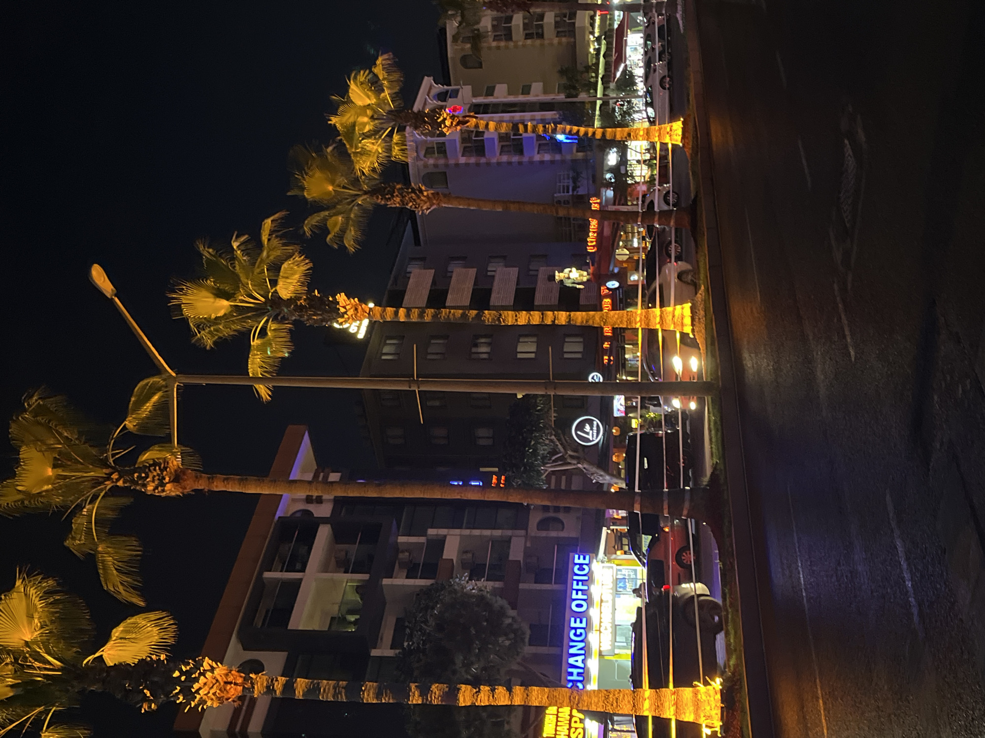 The image depicts a street scene in Alanya, Turkey, at night. Rows of palm trees line the street, decorated with lights. Buildings are visible in the background, including one with a "CHANGE OFFICE" sign illuminated in blue. Cars are parked along the street, and there appears to be a street light among the trees. The street pavement is dark, possibly wet.
