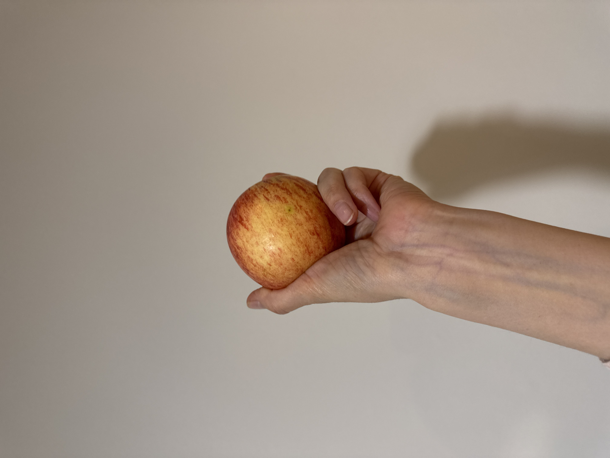 The image features a close-up of a human arm and hand, extending from the right side of the frame, holding a single apple. The hand, belonging to a fair-skinned individual, cradles the apple in its palm with fingers gently curled around it. The apple itself is an unblemished, round fruit with a distinctive skin pattern of red and yellow stripes.
The background is a plain, light-colored surface, appearing to be a wall, possibly beige or a very light grey, without any discernible textures or features. A soft, diffused shadow is cast on the upper right portion of this background, likely from the arm and hand, suggesting an indoor setting with a light source positioned to the left.
The activity depicted is simply a hand holding an apple. No specific event is implied beyond this. There are no indications of time of day, weather conditions, or any emotional expressions, as only a part of the person is visible. No text is present in the image. While the location context of Izhevsk, Russia, was provided, there are no visual cues within the image to confirm this.