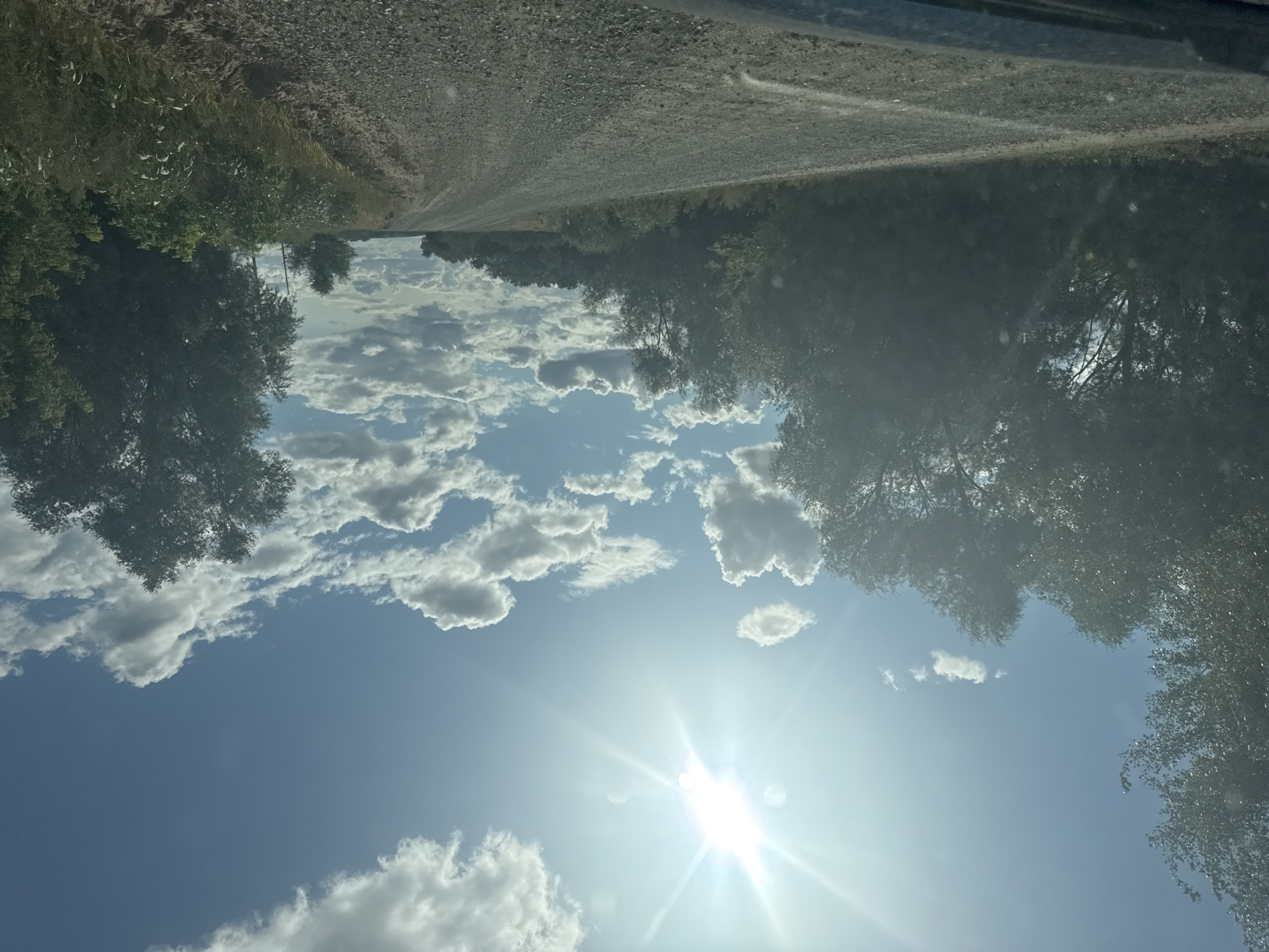 The image depicts a bright, sunny day with a clear blue sky filled with fluffy white clouds. The sun is prominently visible, casting a bright glare in the upper left quadrant of the image. A gravel road, appearing to be a country lane, stretches into the distance, curving gently to the right. Lush green trees line both sides of the road, with dense foliage. The ground on either side of the road is covered in gravel and sparse vegetation. The overall scene suggests a rural or semi-rural environment. There are no people or vehicles visible in the image. The image appears to have been taken from a moving vehicle, as indicated by the slight blur and the perspective of the road. The location is identified as Васильевка, Russia.