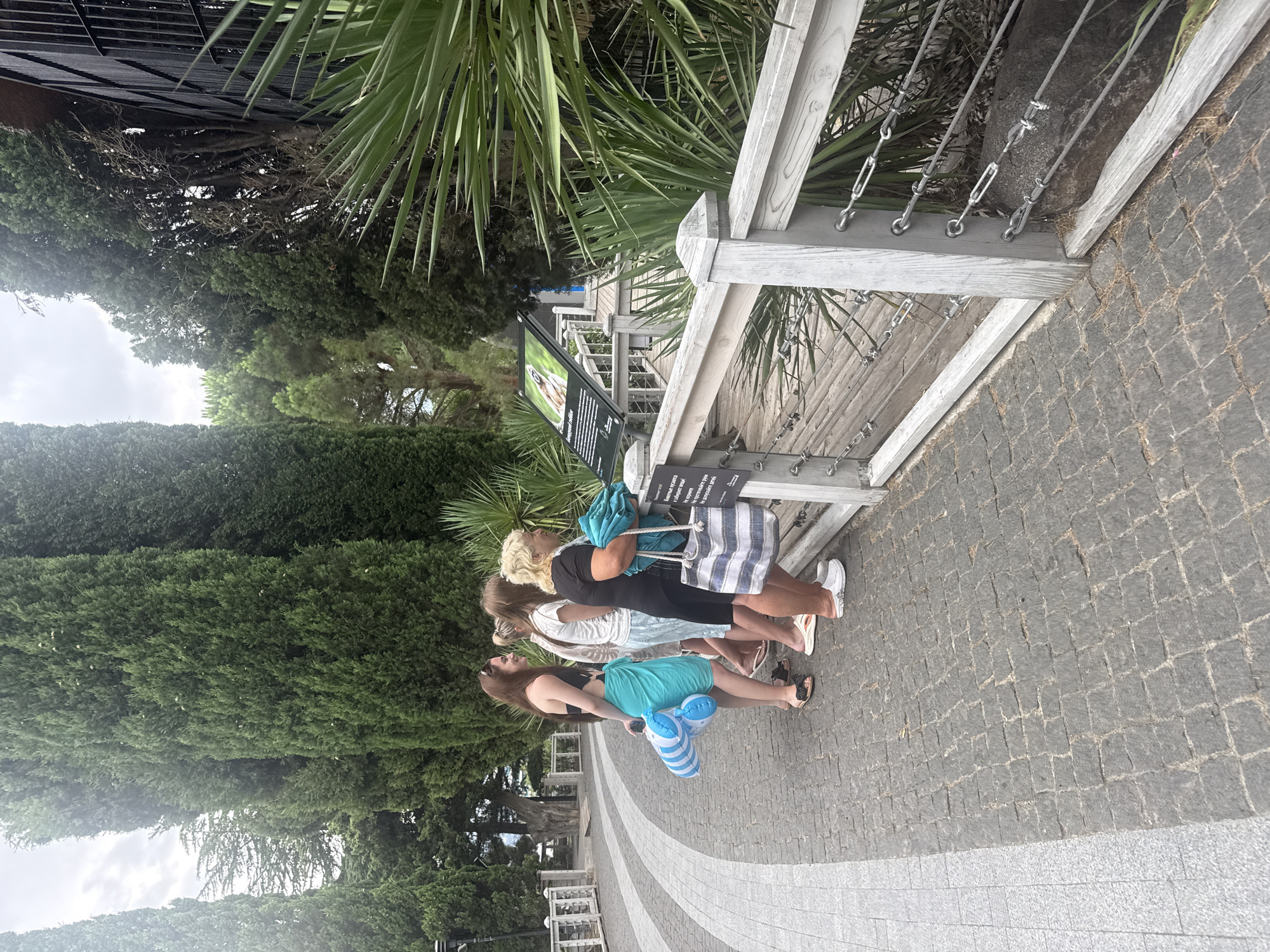 The image captures a scene in Yalta, Ukraine, featuring a group of four people, primarily women, standing along a paved walkway. They appear to be at an outdoor exhibit or attraction, possibly a zoo or botanical garden, given the presence of informational signage and lush vegetation, including tall cypress trees and palm-like plants.
The individuals are casually dressed, suggesting a warm-weather outing. One woman in the foreground is wearing a black top and a blue sarong, holding a beach bag with blue and white stripes and a folded towel. She is looking towards a display board. To her left, another woman in a black top and a light blue skirt holds inflatable blue and white rings. Behind them, two other women, one in a white t-shirt and shorts, and another with blonde hair and a white t-shirt, are also facing the display.
The environment is characterized by a pathway made of dark cobblestones, bordered by lighter grey paving stones. A light-colored wooden railing with metal cables runs along the edge of the walkway, separating it from a wooden boardwalk and a rock formation. The background is dominated by tall, dark green cypress trees and other greenery, indicating a natural setting. A sign with an image of an animal and text in Cyrillic is visible on the boardwalk, further suggesting an educational or exhibition purpose. The overall impression is a relaxed daytime scene at a tourist or recreational spot.