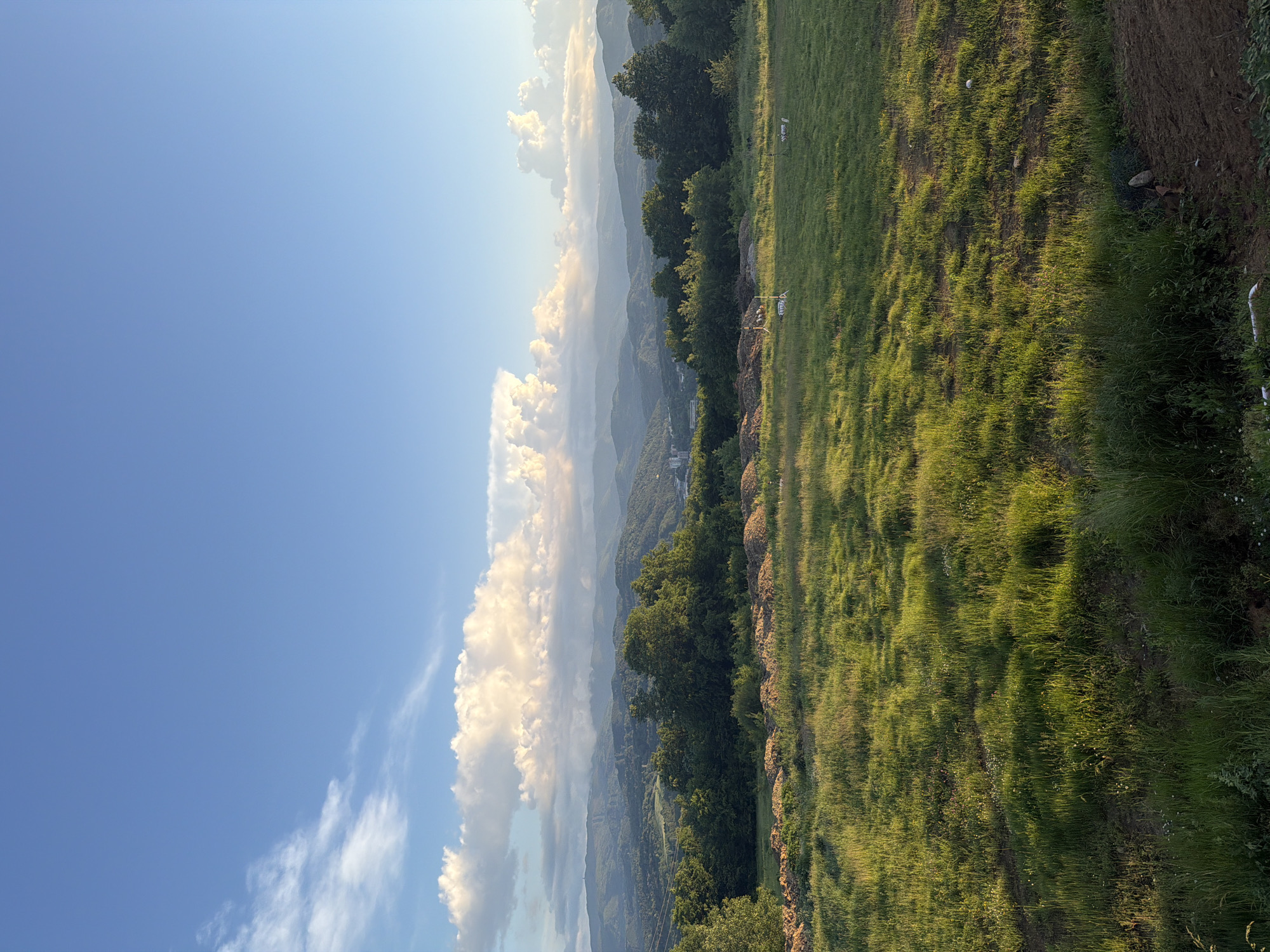 The image depicts a landscape scene in Gabrovo, Bulgaria, featuring a grassy field in the foreground. The grass appears to be growing tall, with variations in color due to sunlight exposure. The ground is slightly uneven, with patches of dirt visible. In the middle ground, there is a line of trees and shrubs marking a division between the field and a mountainous region. The mountainous backdrop is shrouded in a soft haze or mist, partially obscured by large, billowing clouds. The sky is predominantly blue, with a gradient towards lighter shades and a smattering of wispy clouds in the lower left portion. The scene is captured with a focus on the natural landscape, with no clear presence of people or animals.