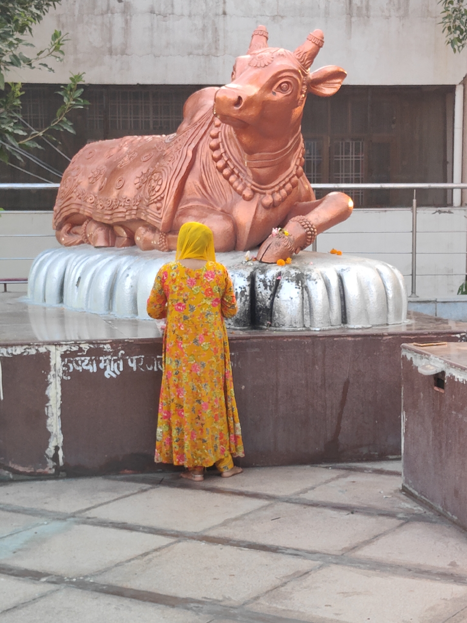 In Gurgaon, India, a woman in a yellow floral dress and headscarf stands with her back to the camera, facing a large, copper-colored statue of a bull. The statue is intricately detailed with decorative patterns on its saddlecloth and appears to be a representation of Nandi, the bull vahana (mount) of the Hindu deity Shiva. It rests on a silver, multi-tiered pedestal that is wet, suggesting it may have been recently washed or is part of a water feature. The woman is positioned near the base of the statue, with her hands outstretched towards it, possibly in prayer or offering. In front of the statue, on the silver pedestal, are a few small orange flowers, likely offerings. The background shows a building with barred windows and some greenery. The ground in the foreground is paved with square tiles and there is a brown, weathered wall with some white inscriptions in the Hindi script visible. The overall scene depicts a moment of devotion at a religious site.