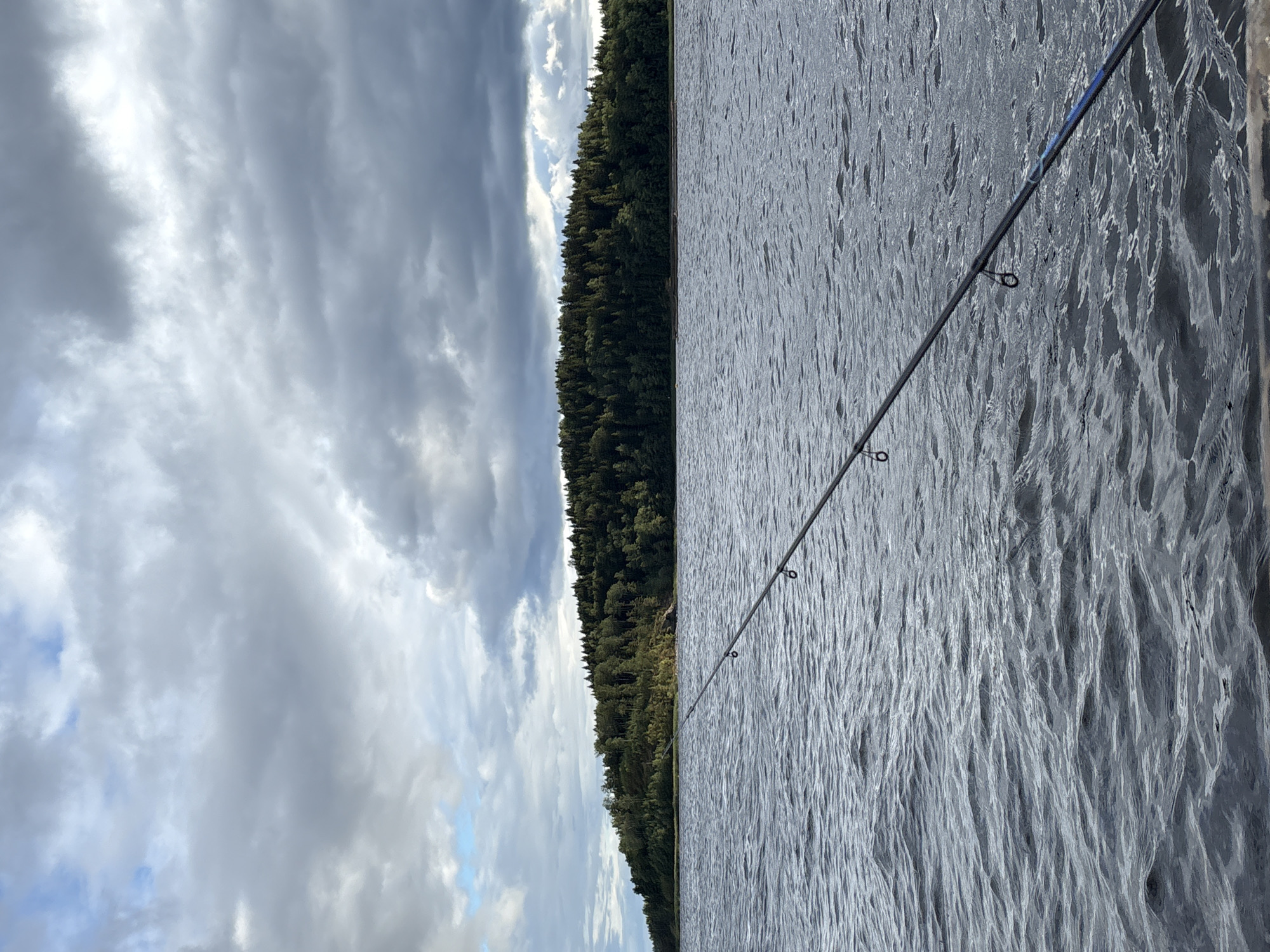 A fishing rod extends into the frame from the right foreground, angled diagonally across a body of water. The water is dark and rippled, suggesting a moderate chop. In the background, a dense forest lines a distant shoreline, with a hill rising behind the trees. The sky is overcast with dramatic, dark clouds, interspersed with patches of lighter sky and some blue. The overall scene depicts an outdoor, natural environment, likely a lake or large river. The location is identified as Rautalakhti, Russia. No people are visible in the image.