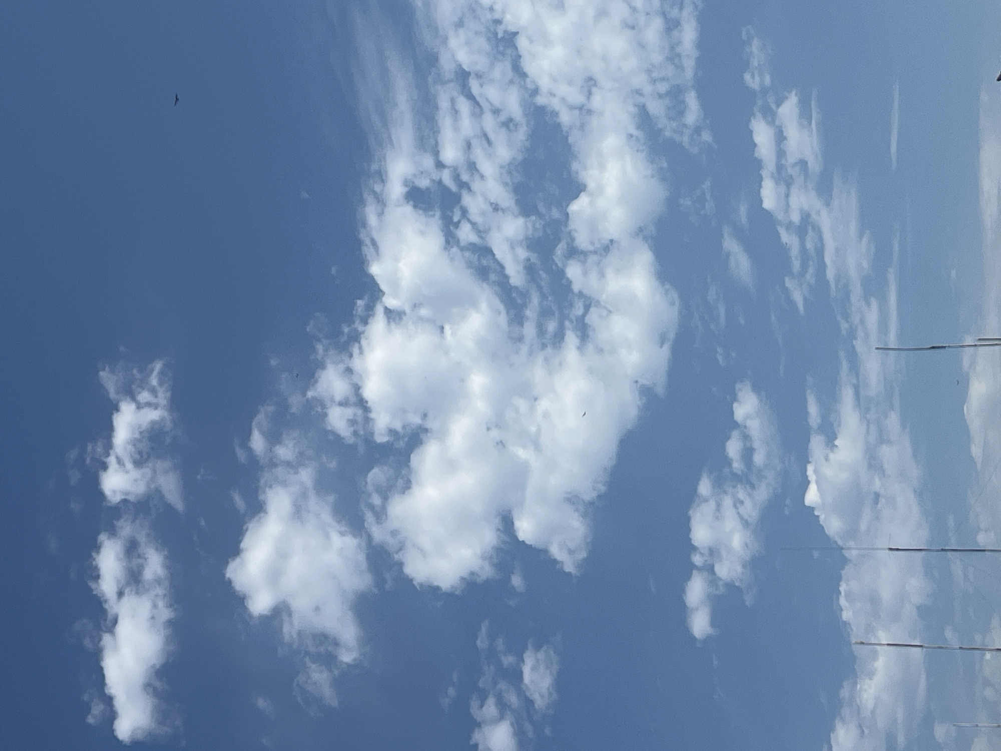 The image shows a daytime view of the sky, filled with scattered cumulus clouds against a blue background. A single bird is visible in the upper left quadrant. In the lower right quadrant, there is a thin pole-like structure, likely part of a building, also a light wire stretches accross the background. The location may be in Arica, Chile.