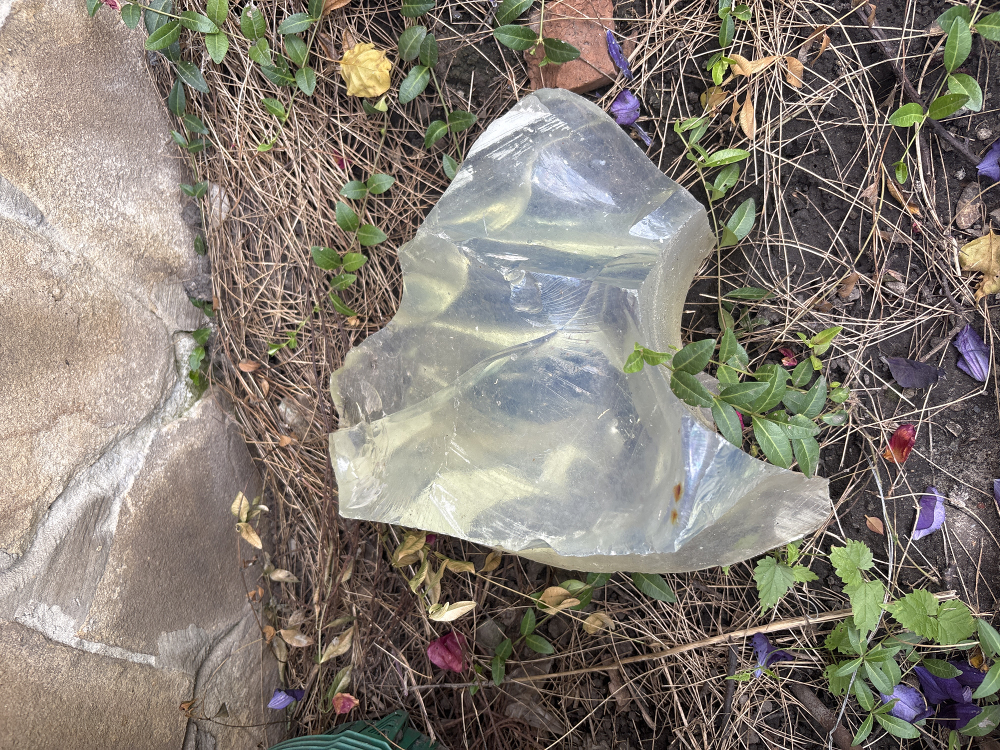 A large, irregular piece of clear, yellowish, translucent material, possibly glass or resin, rests on a bed of dry pine needles and dark soil. The material exhibits sharp, fractured edges and internal reflections. Small green plants with delicate leaves, some with purple and pink flower petals, are scattered around the object. In the background, a rough-textured stone wall, likely part of an outdoor structure, forms the upper boundary of the scene. The overall setting suggests an outdoor, possibly garden or yard, location. The specific location in Zmiiv, Ukraine, is not discernible from the visual information provided in the image.
