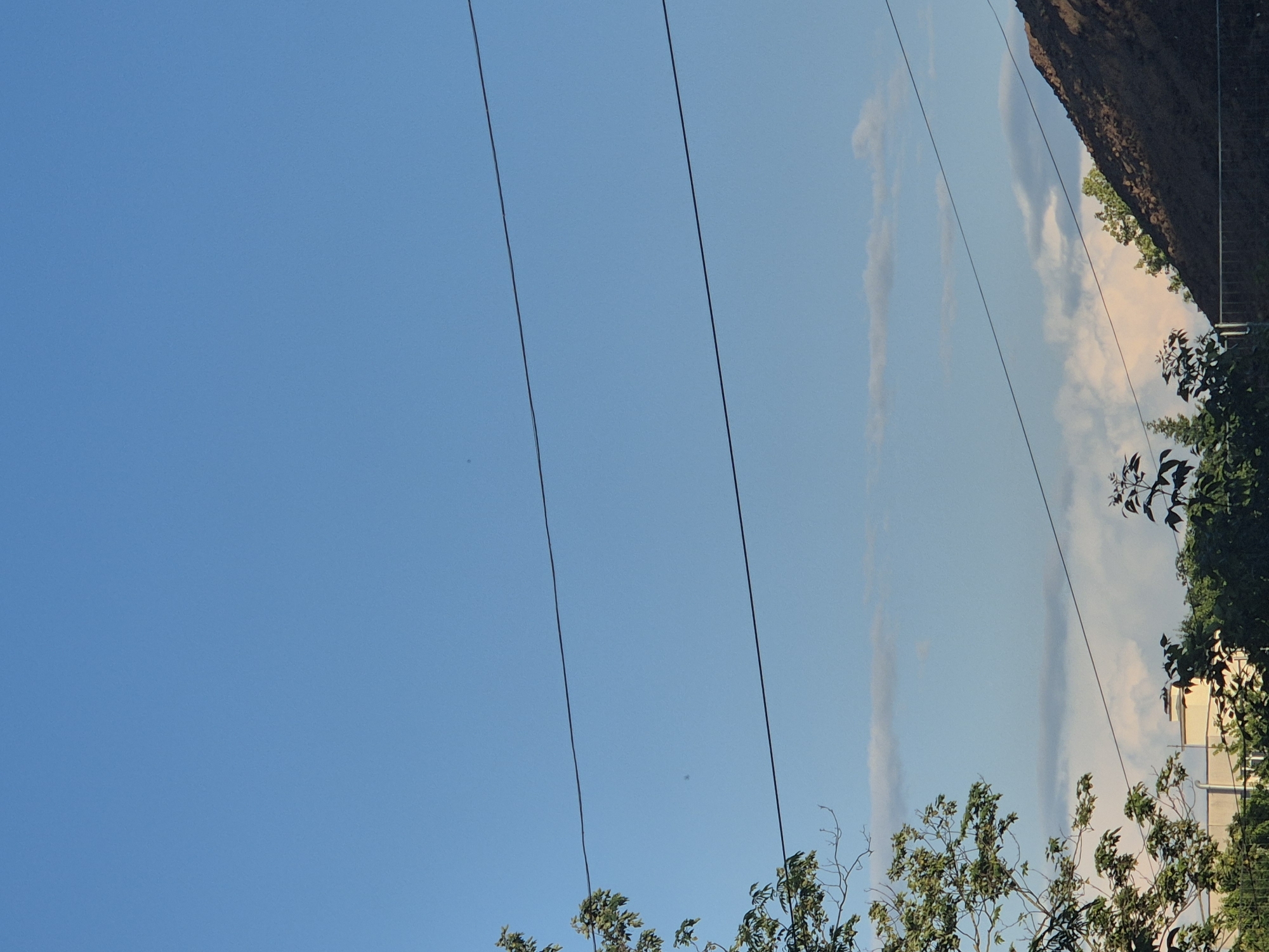 The image, oriented vertically, captures a bright daytime scene predominantly featuring a clear blue sky. Three dark, thin power lines stretch diagonally across the frame, from the mid-left towards the upper-right. The top-left portion of the sky is mostly clear, while the right side shows scattered, wispy white clouds, some with a subtle pinkish hue.
In the bottom-right and along the right edge, green foliage from various trees is visible, with some branches silhouetted against the sky. Partially obscured by the trees on the right is a cream-colored building with dark architectural details. Above this building and the trees, at the top-right corner of the image, there is a dark, textured mass that resembles either a rocky cliff or a densely vegetated hillside.
The lighting suggests it is daytime, possibly late afternoon given the warmer tones in some clouds. The weather appears clear and sunny. No people or specific activities are visible, and there is no discernible text in the image. The scene presents a mix of natural elements like the sky, clouds, and trees, with man-made structures such as power lines and a building.