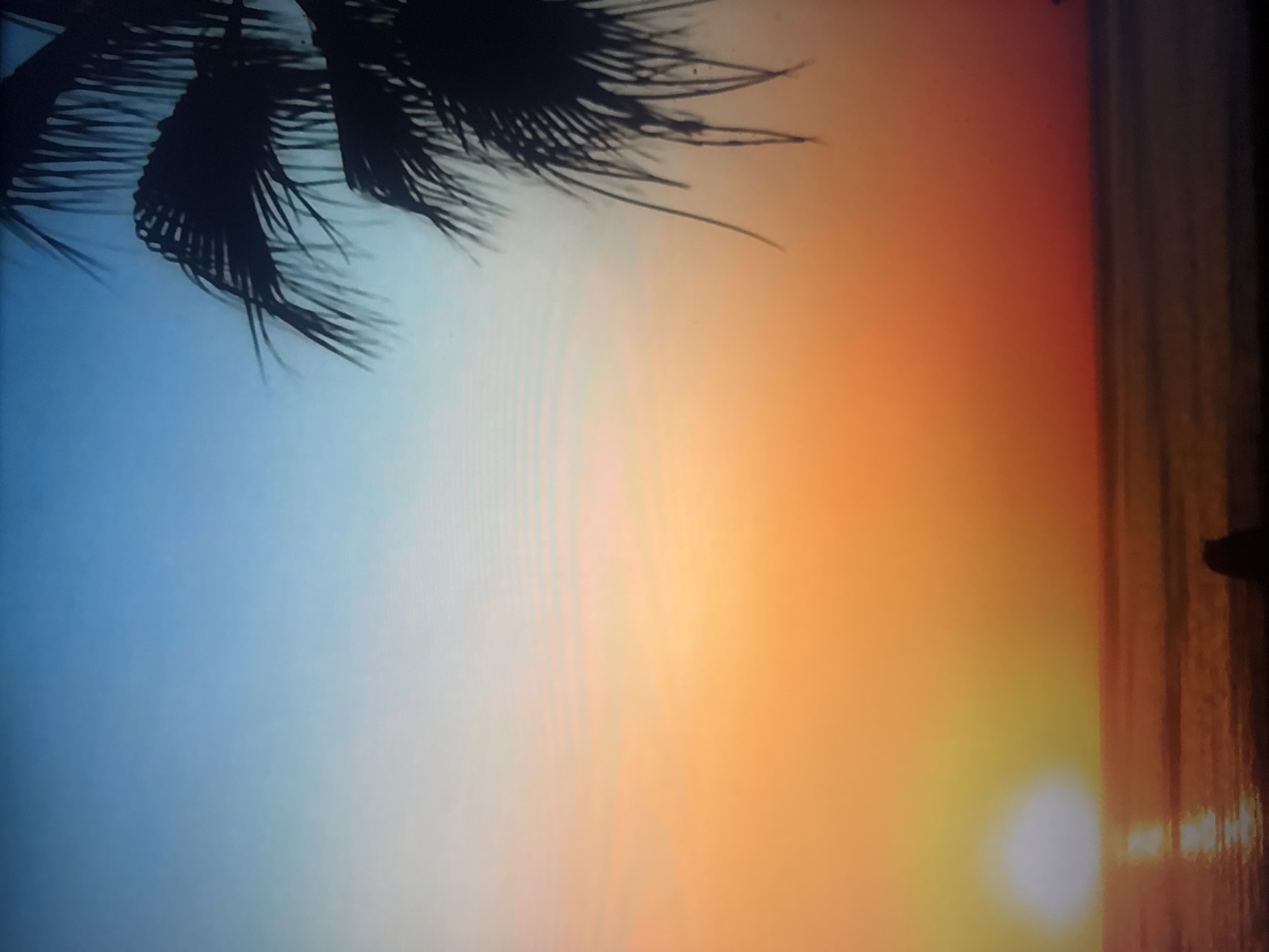 This media file depicts a sunset over the Mediterranean Sea in Herzliya, Israel. The image is oriented vertically, with the top featuring the silhouette of palm fronds against a gradient sky. The sky transitions from a light blue on the left to a vibrant orange and yellow on the right, indicating the setting sun. The sun itself is visible as a bright orb near the horizon on the right side of the image.
Below the sky, the sea is visible, reflecting the warm colors of the sunset. A dark vertical element on the far right suggests land or possibly a structure, with its reflection also visible in the water. There are no people or identifiable objects within the scene, and no text is visible. The overall mood conveyed is one of tranquility and the beauty of a natural sunset.