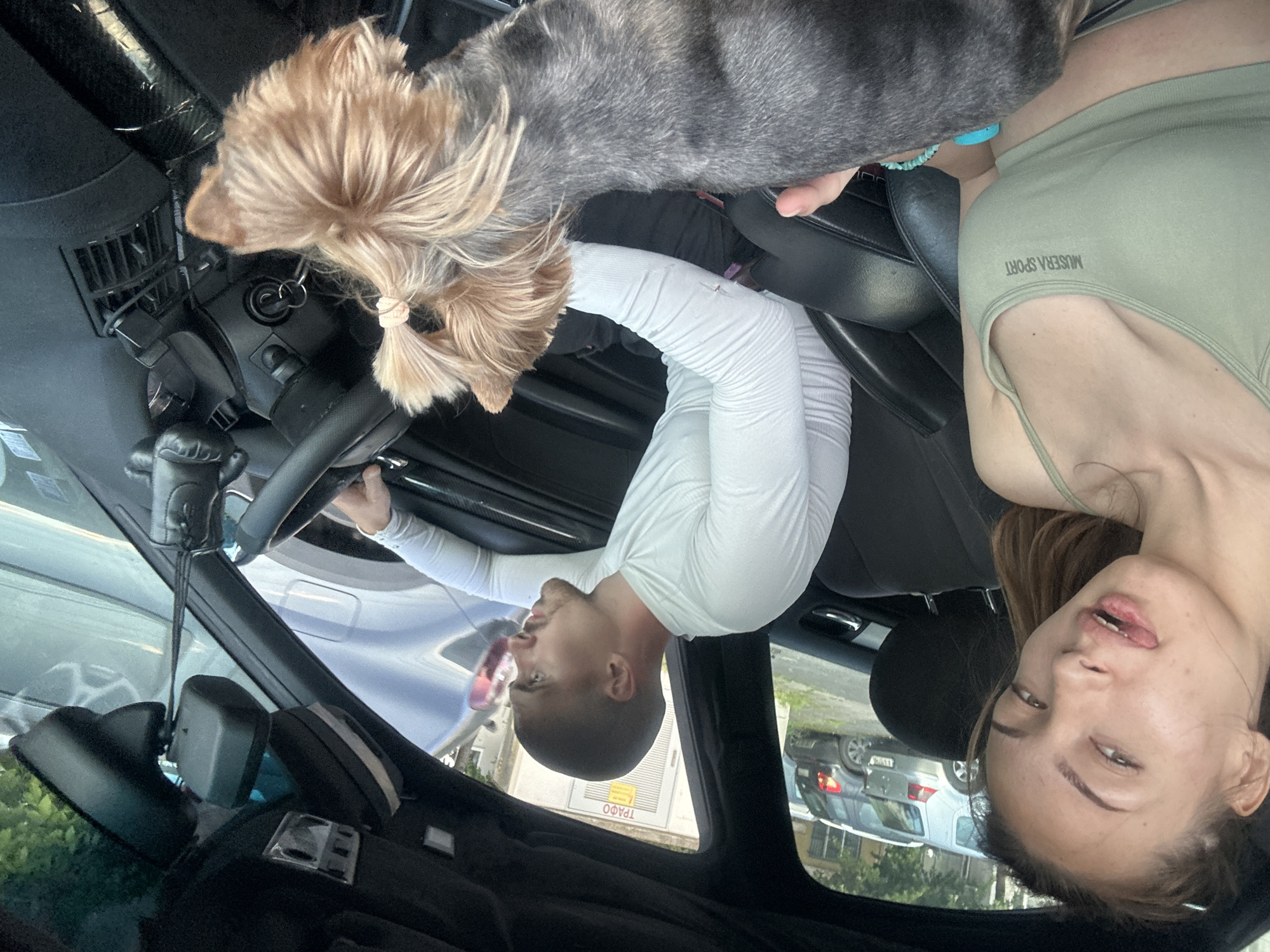 A person is driving a car. There is a dog on the driver's side. A woman is in the passenger's seat. The building in the background has the word "TPAFO" visible. The location is in Burgas, Bulgaria based on the license plates of the parked vehicles.