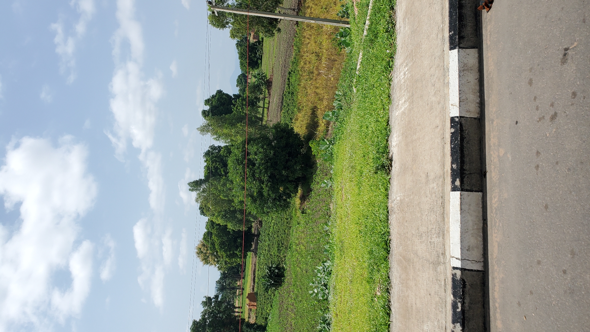 The image depicts a rural landscape, likely on the outskirts of Jalingo, Nigeria. In the foreground, there is a paved road with a distinctly marked curb featuring alternating black and white sections. Adjacent to the curb is a strip of well-maintained green grass. Beyond the grassy area, the landscape transitions into cultivated fields and a grove of trees. Some areas of the field appear to be recently plowed or prepared for planting, while others show signs of growth or vegetation. A few structures, possibly rural dwellings or agricultural buildings, are visible in the mid-ground. A prominent electrical pole with visible wires is situated on the right side of the frame, suggesting the presence of utility infrastructure. The background is characterized by a hazy horizon with a mountain or hill visible in the distance, under a bright, partially cloudy sky. The overall impression is one of a serene, rural setting within the broader context of Jalingo's environment.