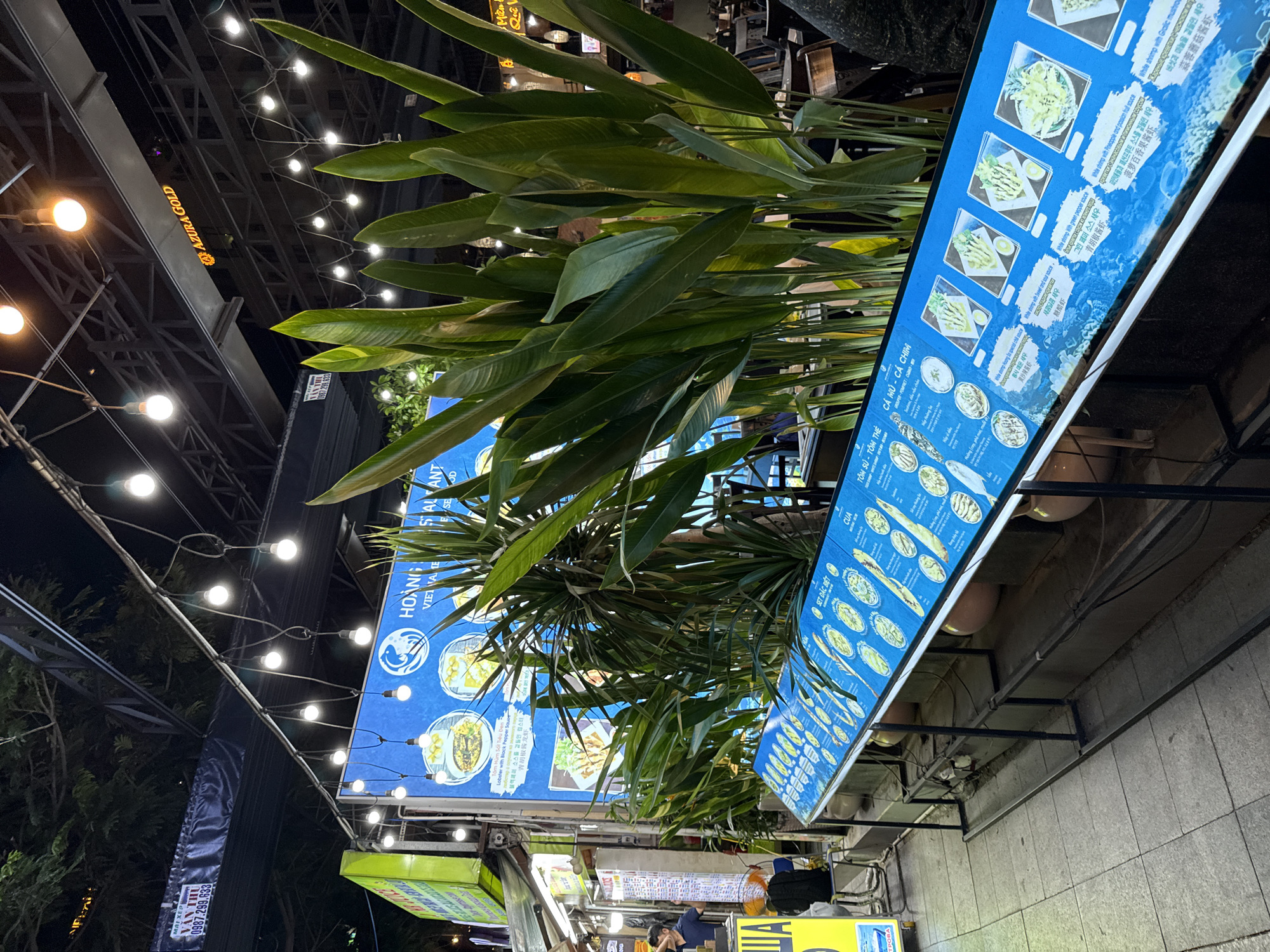 This image captures an outdoor dining area at night in Nha Trang, Vietnam. In the foreground, a long, illuminated menu board displays various dishes with accompanying images and text in Vietnamese and English, featuring categories like "Tôm Sú - Tôm The" (Tiger Prawns - Various Prawns) and "Cá Mú - Cá Chim" (Grouper - Pomfret Fish). Lush green plants, likely tropical foliage, are strategically placed to enhance the ambiance. Above, a network of metal structures supports strings of warm, glowing light bulbs that illuminate the scene. In the background, the facade of a restaurant is visible, with signage that includes "HOÀNG VIỆT NAM" and "AZURA GOLD". A person in a dark blue shirt is partially visible near the entrance of the restaurant. The ground is paved with stone tiles, and the overall atmosphere suggests a lively, potentially tourist-oriented dining establishment.