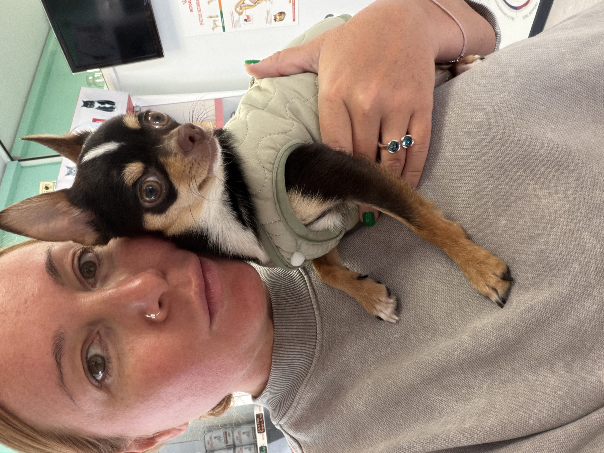 A woman is holding a small dog in a light green quilted jacket. The dog has brown, black, and white fur. The woman is wearing a light grey sweatshirt and has a ring with two blue stones on her hand. She has a nose ring. The background shows what appears to be a veterinary clinic with medical posters and products. The city of Madrid, Spain cannot be confirmed from the image.