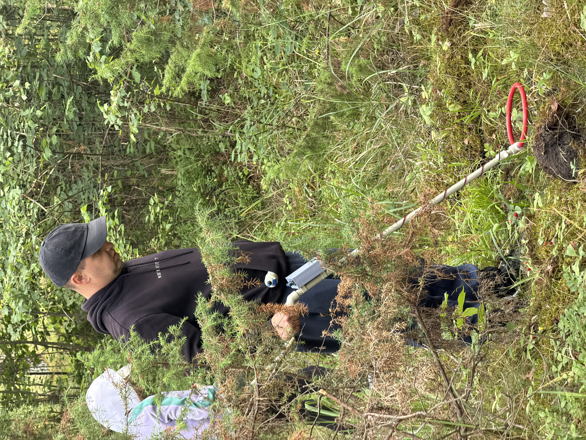 Two individuals are in a forest in Mucenieki, Latvia, engaged in what appears to be a metal detecting activity. A person in the foreground, wearing a black baseball cap and a black hoodie, is holding a metal detector. The device has a grey control box and a circular red coil resting on the ground. To the left, another individual is partially visible, wearing a white cap and a light-colored hoodie with a turquoise accent. They are standing amidst dense vegetation, including trees, bushes, and ground cover such as moss and grass. The environment suggests a natural, wooded setting.