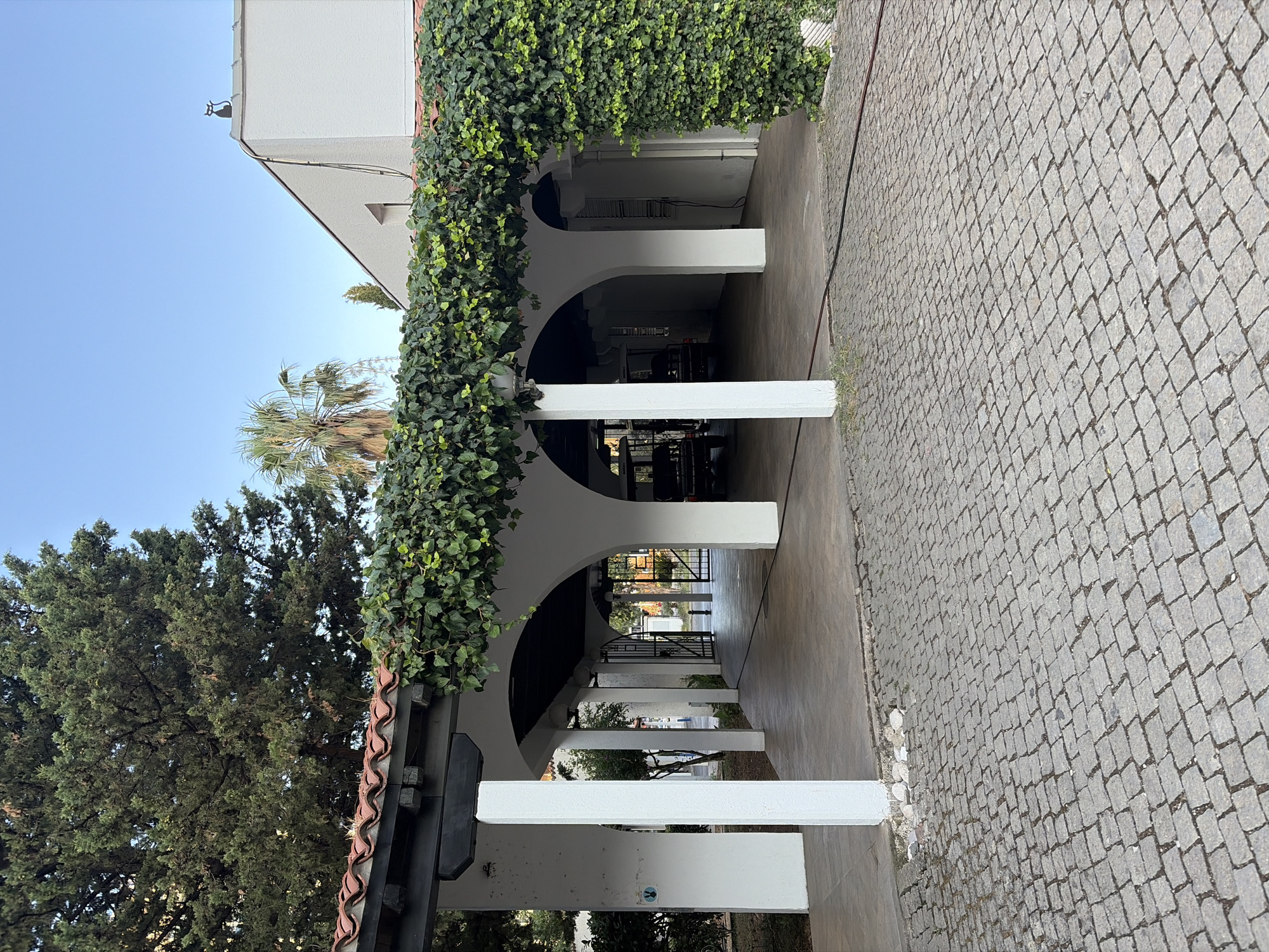 A covered walkway with white pillars and arched openings is overgrown with ivy. The walkway is paved with stone and leads to an open area with gates. In the background, there are trees, including a palm tree, and a building with a white facade. The scene appears to be in a warm, sunny climate, possibly during the day.
