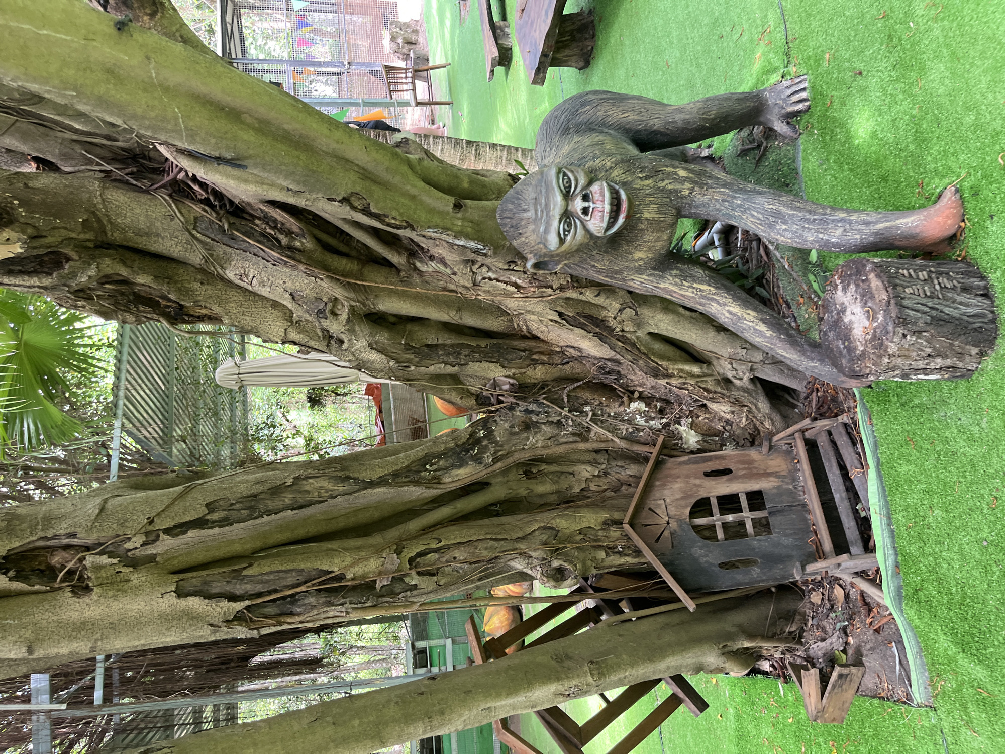 A detailed, forensic, matter-of-fact description of the scene is as follows:
The image depicts an outdoor scene in Nam Nha Trang Ward, Vietnam. In the foreground, a large, gnarled tree trunk dominates the frame. The bark is rough and textured, with visible signs of decay and peeling in some areas. Exposed roots spread across the ground. To the right of the tree, a life-sized statue of a chimpanzee is positioned, crouched low with its hands on the artificial green turf. The chimpanzee statue has a detailed, somewhat menacing facial expression with wide eyes and bared teeth. Its body is sculpted to appear hairy. To the left of the tree, a small, dark wooden dollhouse-like structure with a window and a slanted roof rests on the ground. Wooden planks and debris are scattered around the base of the tree and the dollhouse. The ground is covered in bright green artificial turf, with scattered brown leaves and debris. In the background, beyond the tree, a chain-link fence encloses an area with various structures and what appear to be decorative elements. There are glimpses of picnic tables and benches made from rough-hewn wood. A white, folded umbrella is visible to the left of the tree, and on the right, a wooden chair is placed near the fence. The overall environment suggests an outdoor recreational area or a themed attraction. There are no visible people interacting with the chimpanzee statue or the immediate surroundings in the frame.