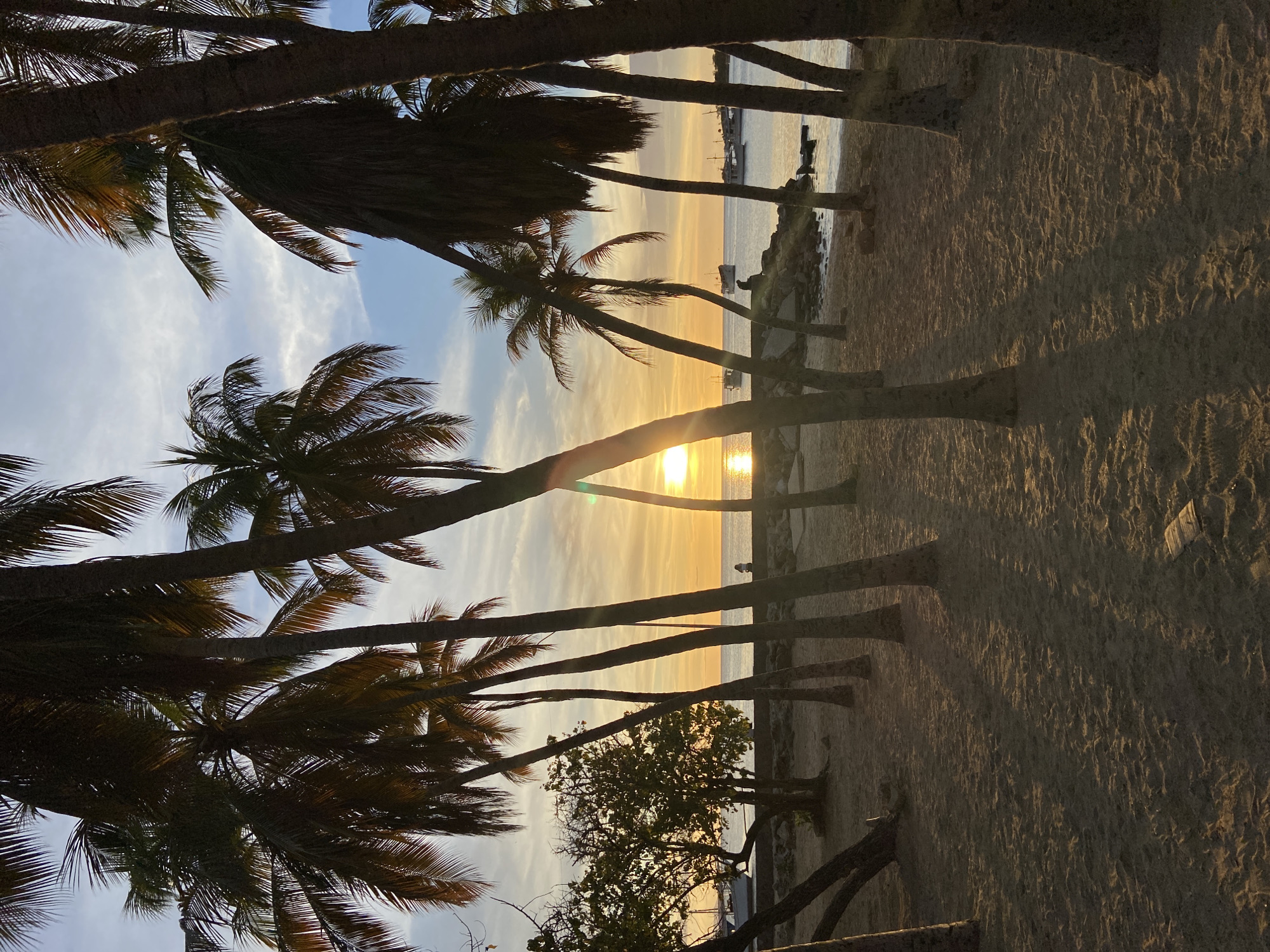 A beach scene in Juan Griego, Venezuela, at sunset. Tall palm trees line the sandy foreground, casting long shadows across the beach. In the background, the sun sets over the calm ocean, casting a warm golden glow across the sky and water. Several boats are anchored in the bay, and a few people can be seen sitting on the shore. The overall atmosphere is peaceful and serene.