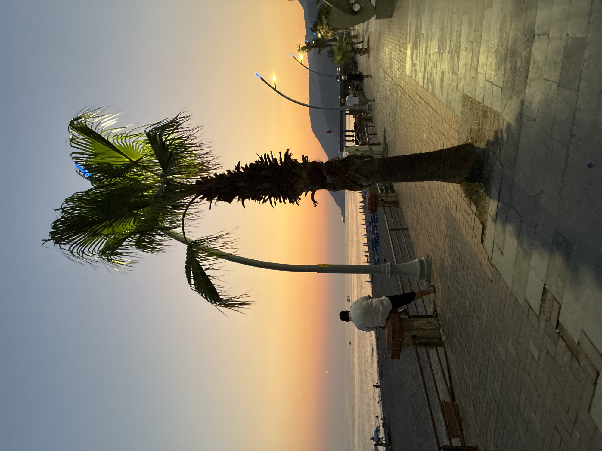 The image depicts a sunset scene along the Alanya waterfront in Turkey. A man is seated on a brick post, facing the ocean, with a prominent palm tree to his right. The sky displays a gradient of orange and blue hues, characteristic of a sunset. The beach is visible to the left, with some people scattered along it and beach chairs set up. A paved walkway runs along the waterfront, illuminated by streetlights. Several other palm trees and decorative elements are present along the walkway. In the distance, mountains are visible on the horizon. The overall atmosphere is tranquil, with the warm glow of the sunset dominating the scene.