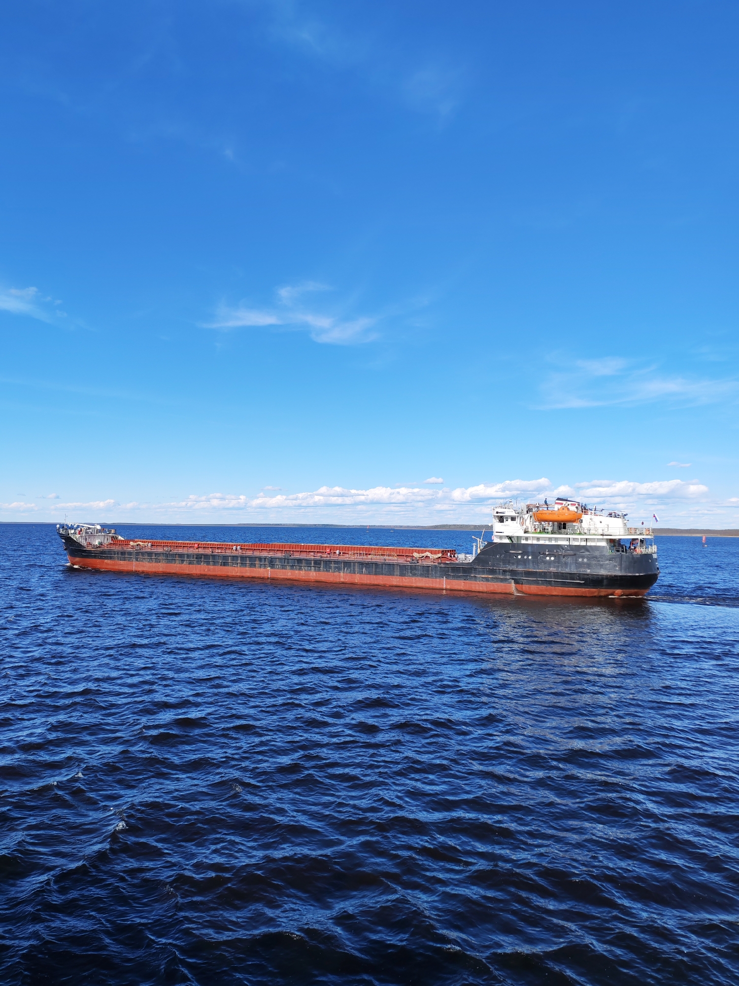 The image shows a large cargo ship moving across a body of water under a clear blue sky with scattered white clouds. The ship is predominantly black with a red waterline and carries a cargo of brown material. The water is dark blue with visible waves. In the distance, a shoreline with trees is faintly visible. There is no specific indication of the location being Gorushka, Russia from the image alone.